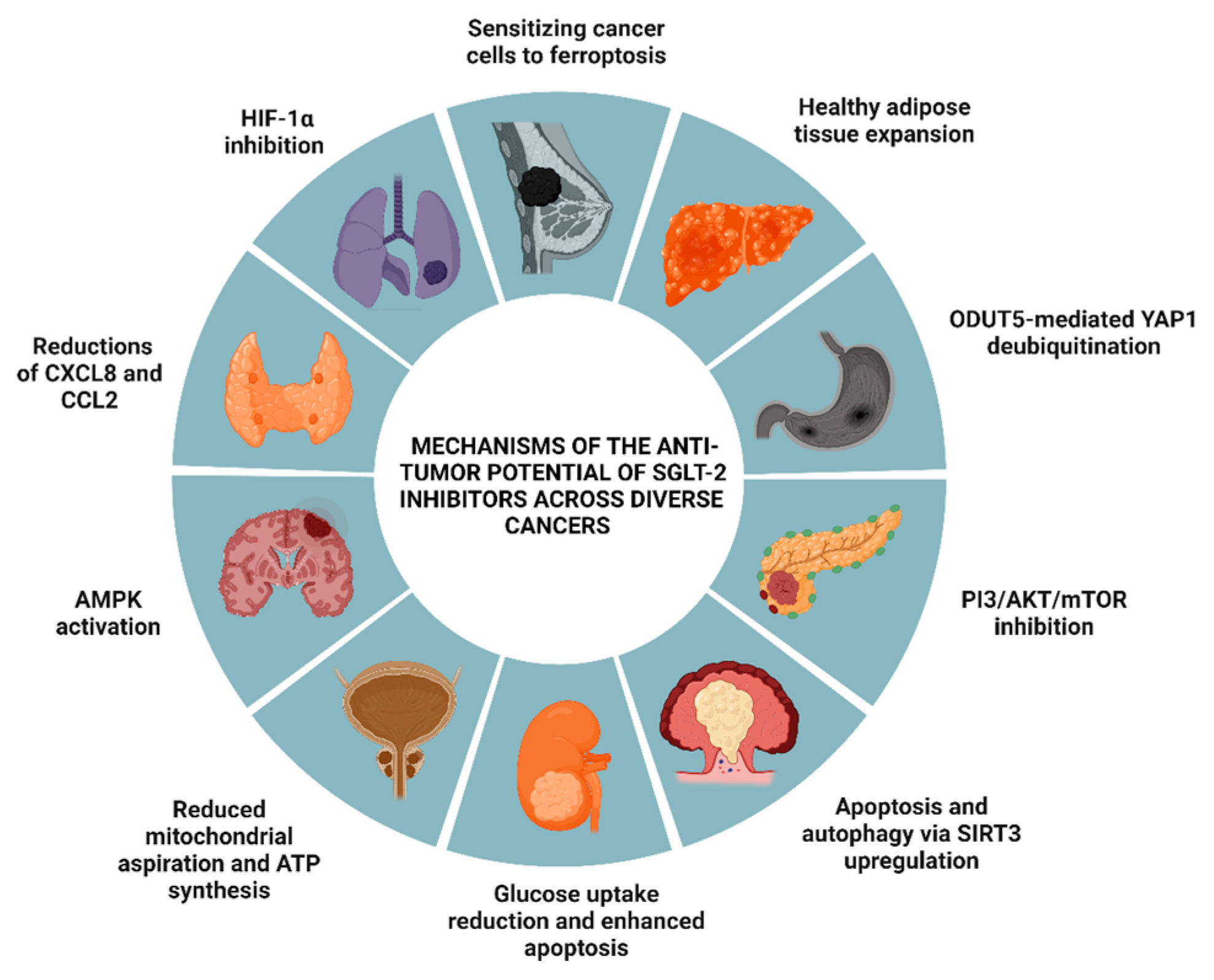 Biomolecules 14 01479 g002