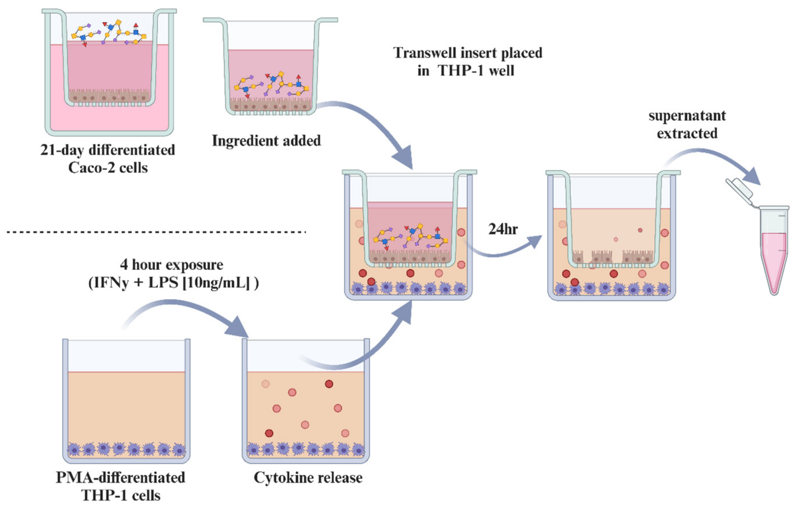 Biomolecules 14 01481 g001