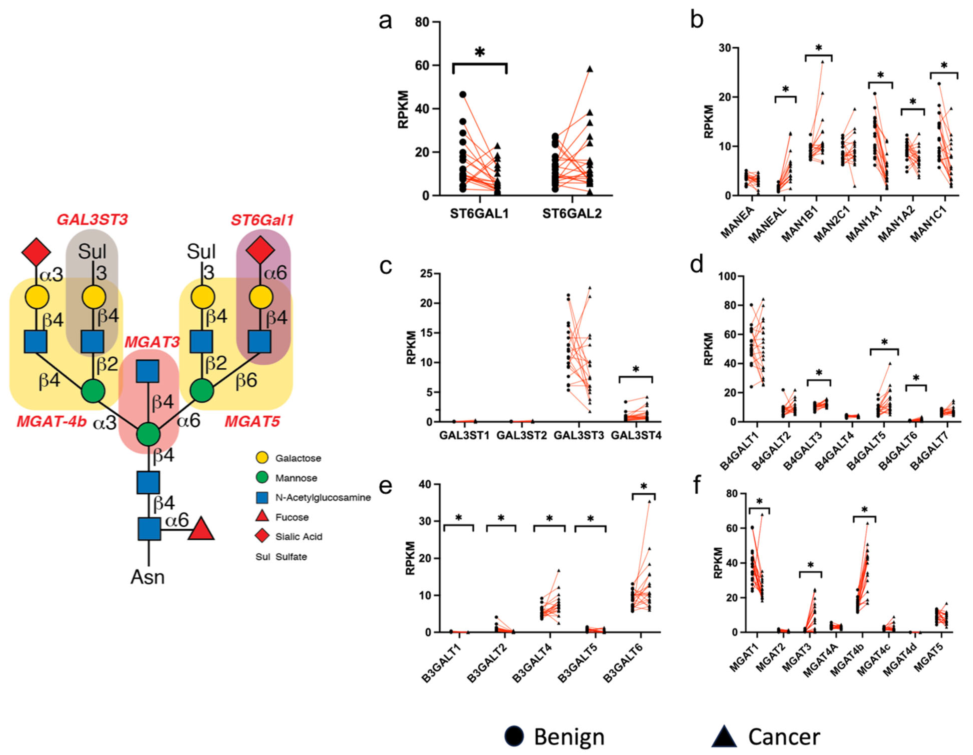 Biomolecules 14 01482 g003