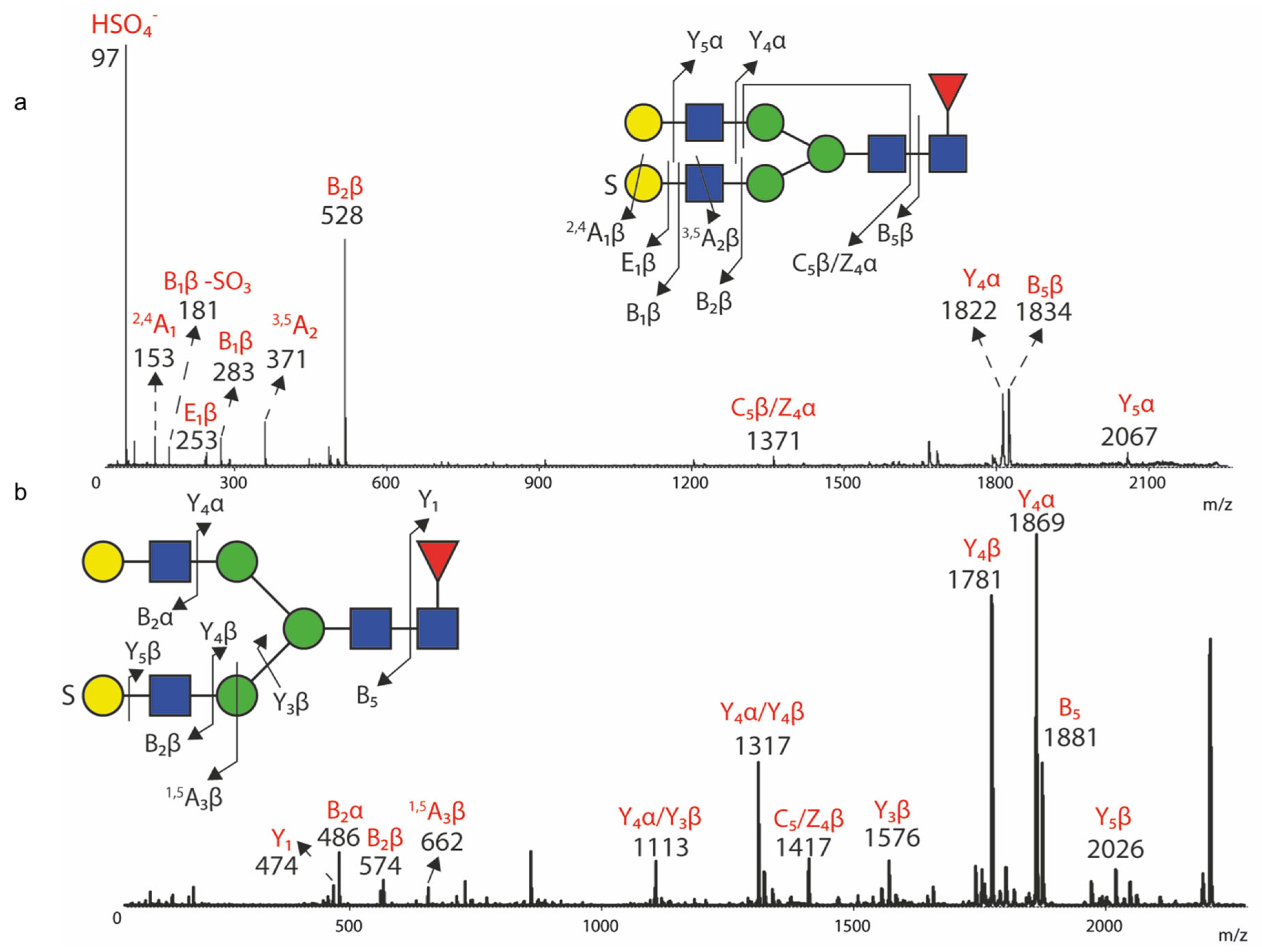 Biomolecules 14 01482 g006