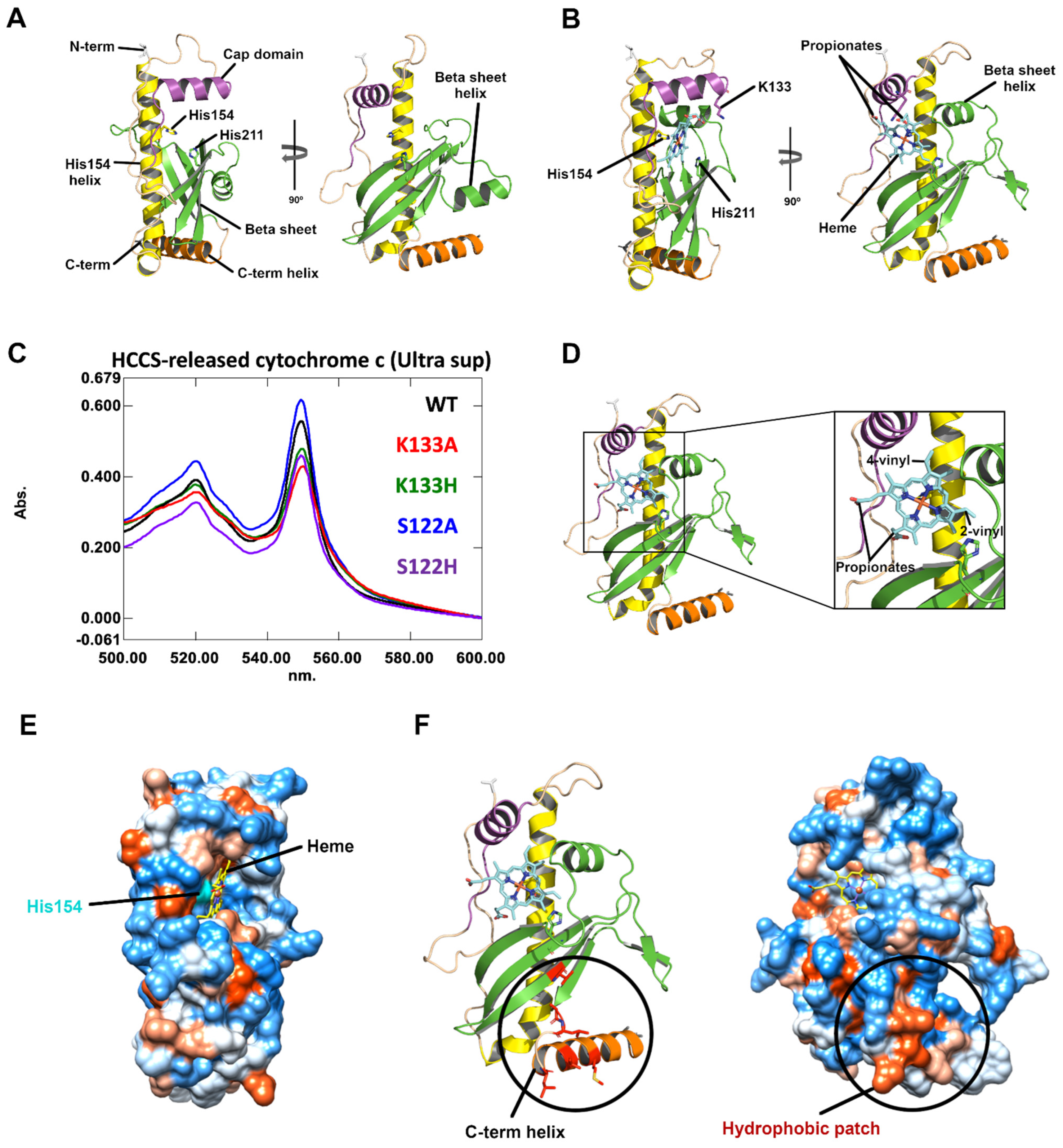 Biomolecules 14 01483 g001