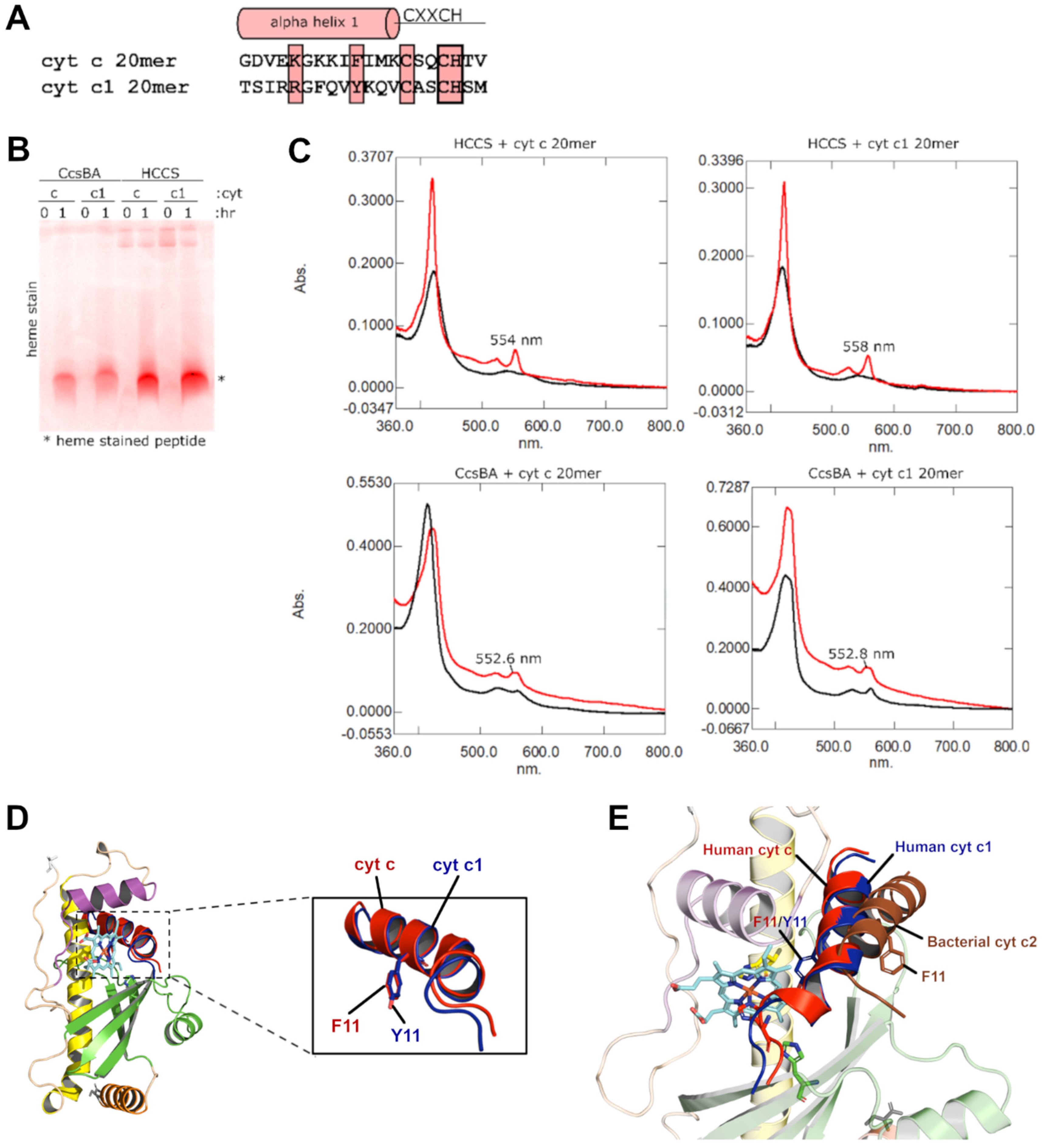 Biomolecules 14 01483 g002