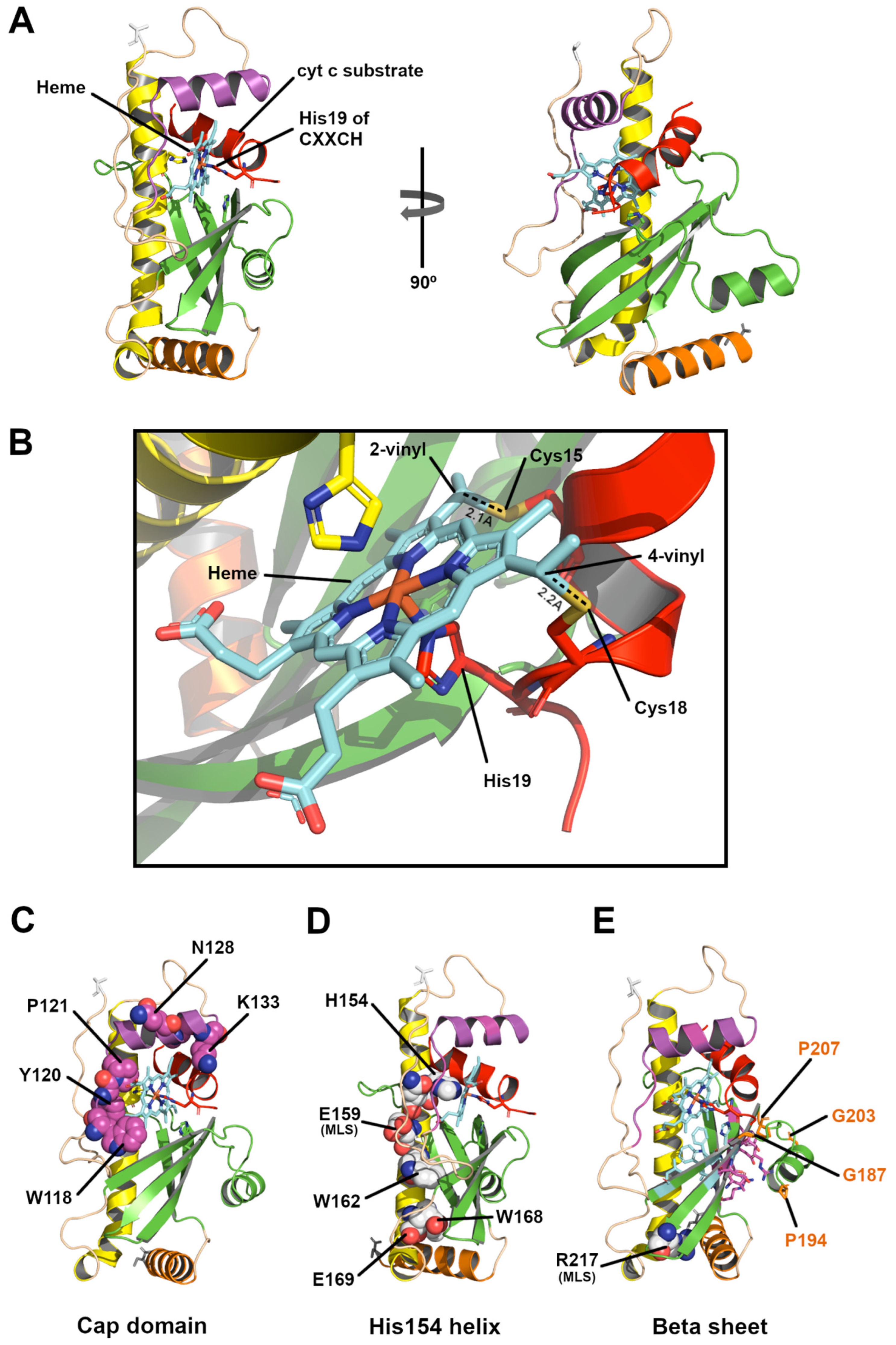 Biomolecules 14 01483 g003