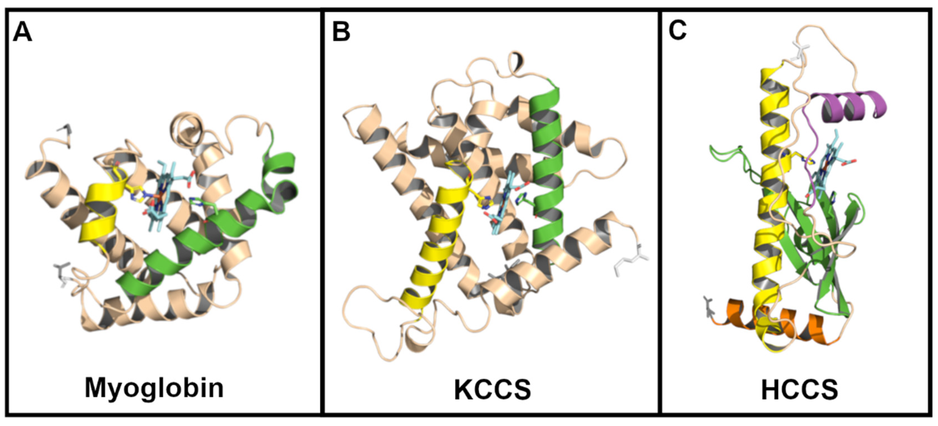 Biomolecules 14 01483 g005
