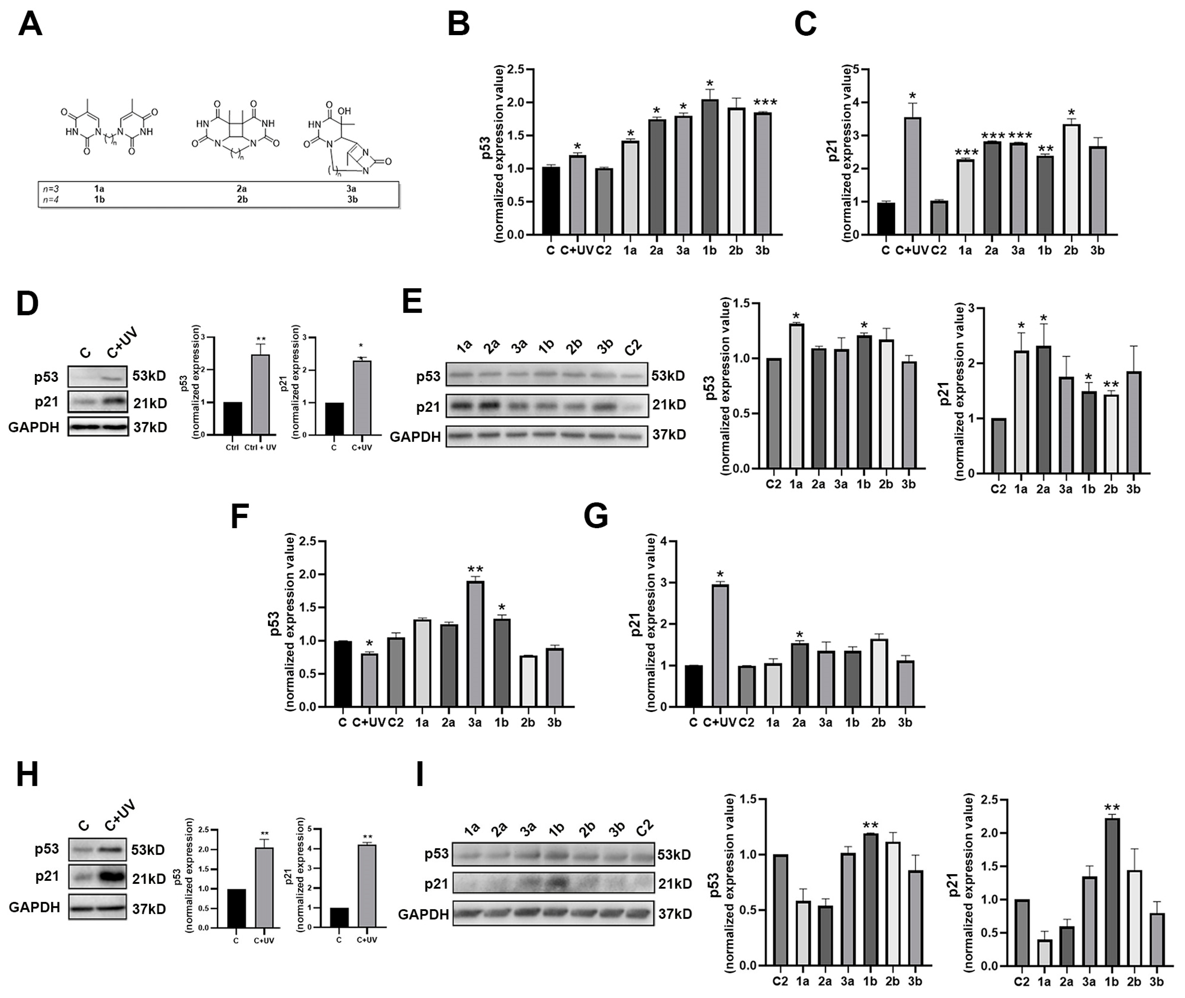 Biomolecules 14 01484 g001 Biomolecules 14 01484 g001