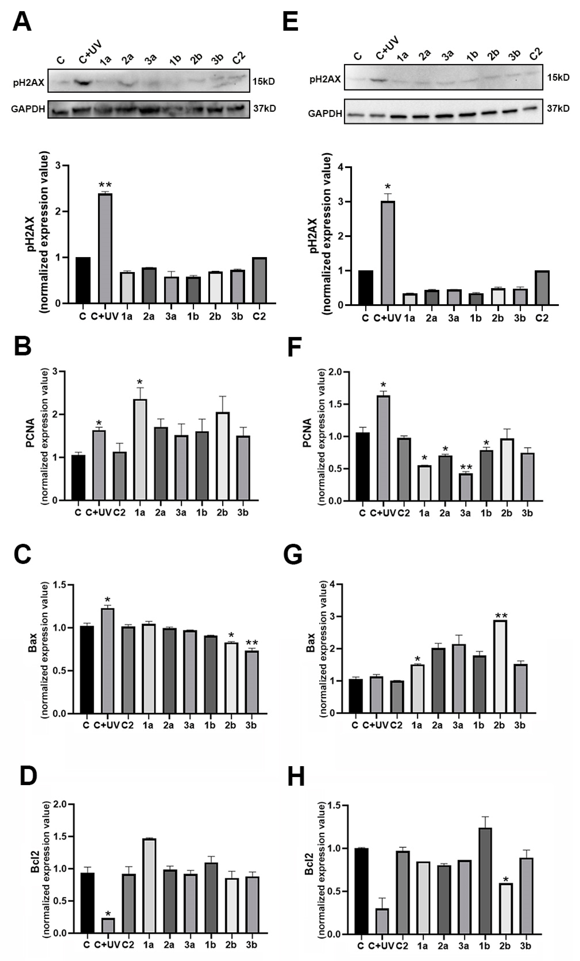 Biomolecules 14 01484 g002 Biomolecules 14 01484 g002