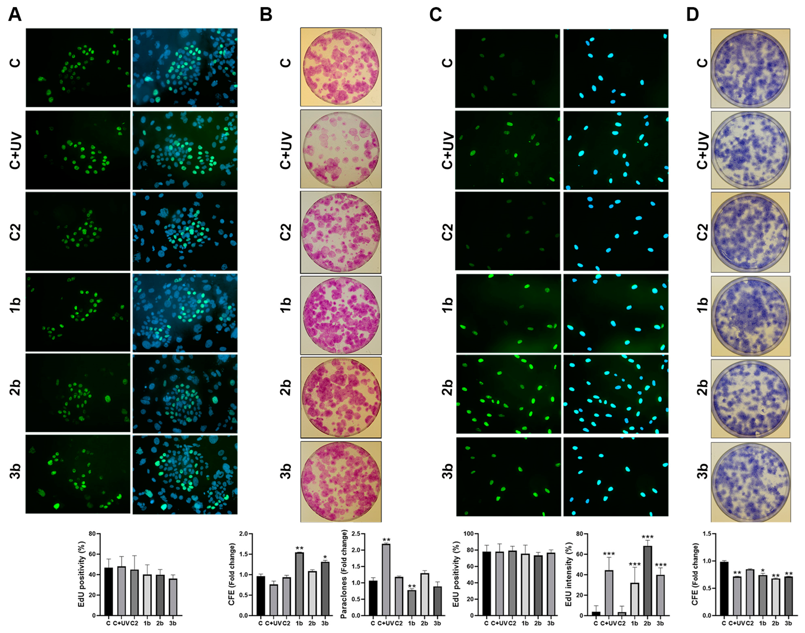 Biomolecules 14 01484 g003 Biomolecules 14 01484 g003