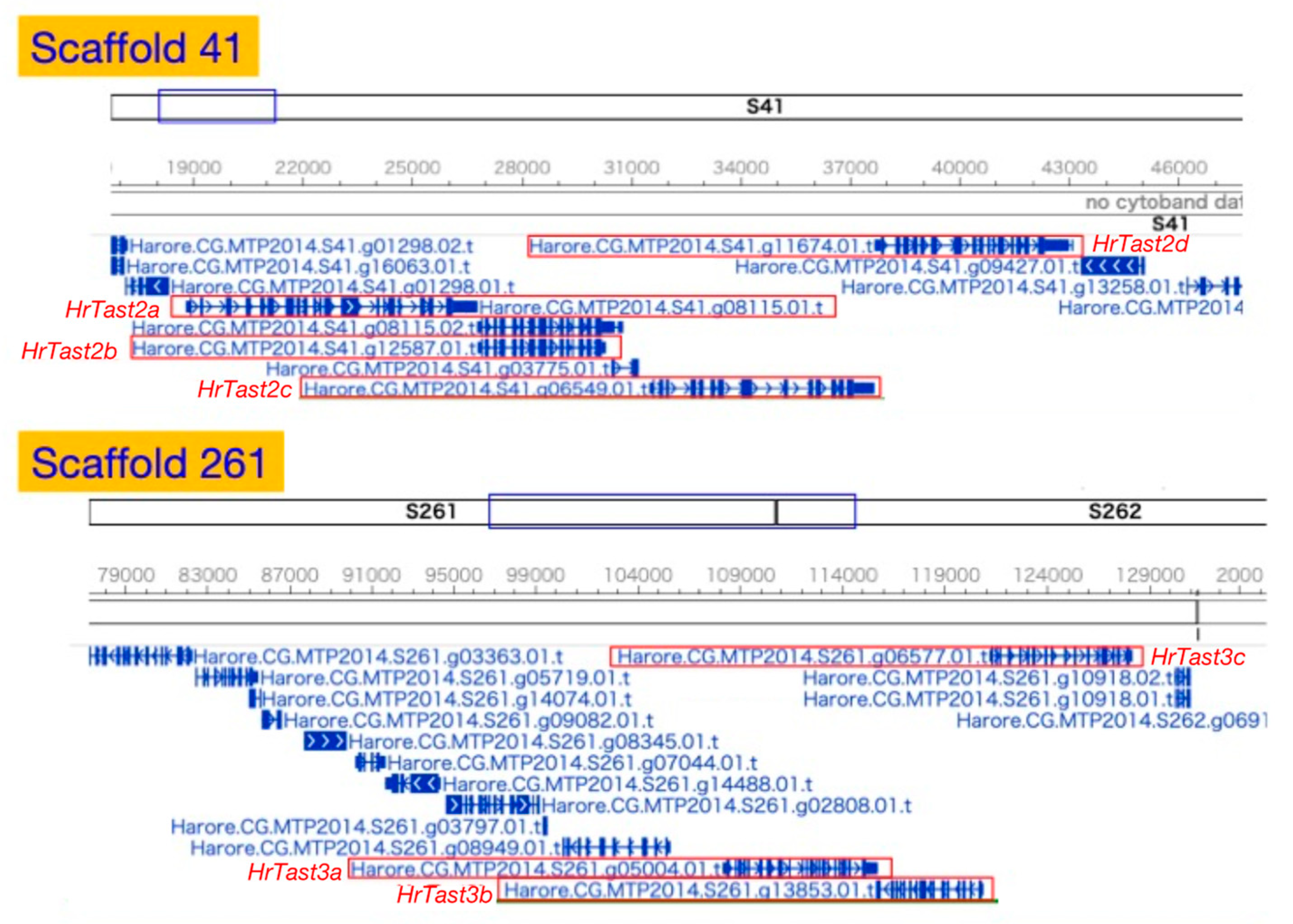 Biomolecules 14 01487 g004
