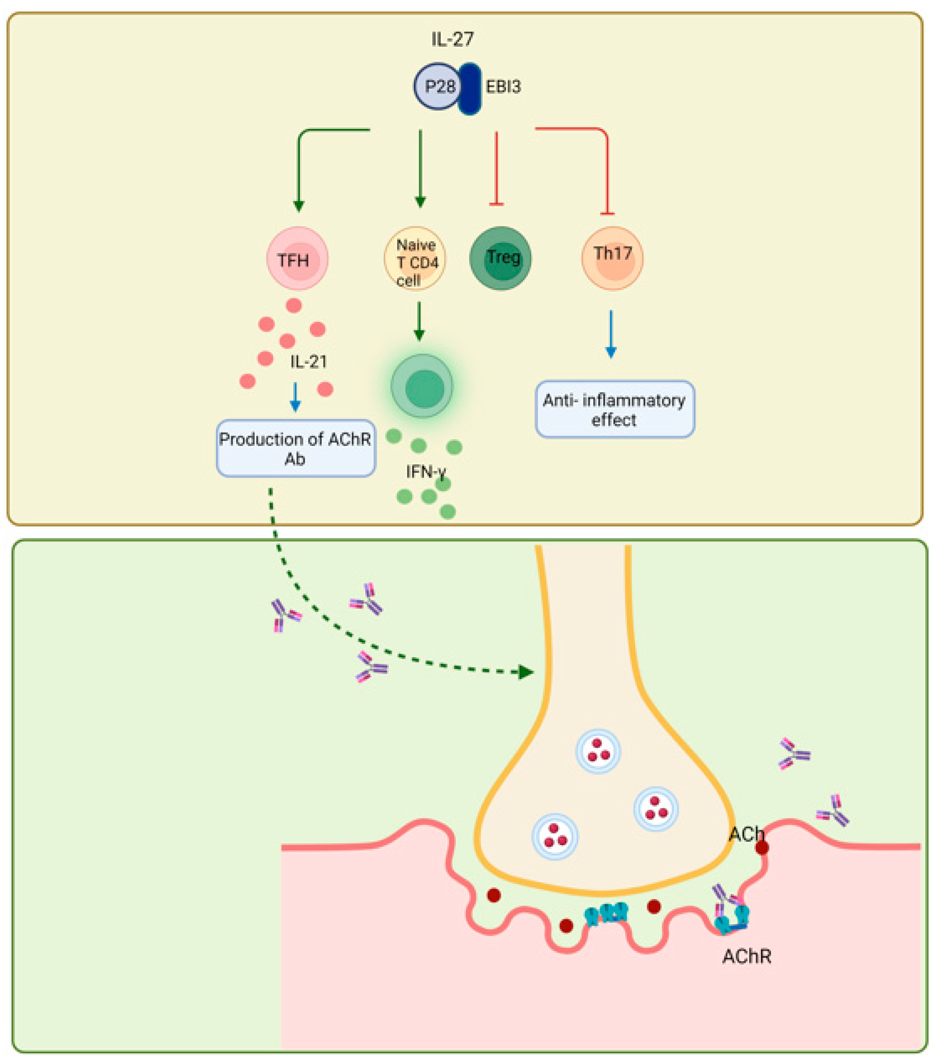 Biomolecules 14 01489 g006