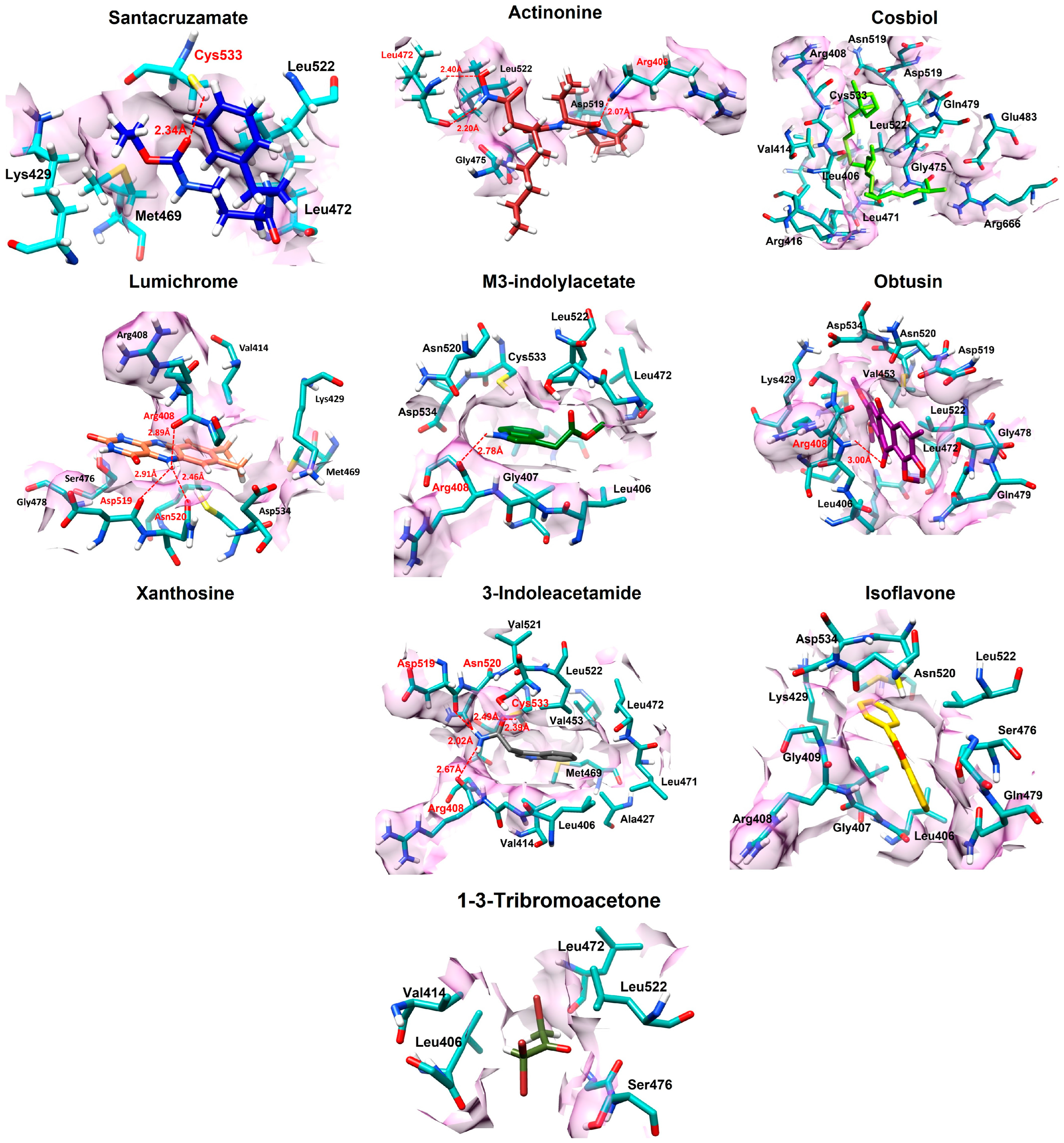 Biomolecules 14 01490 g002 Biomolecules 14 01490 g002