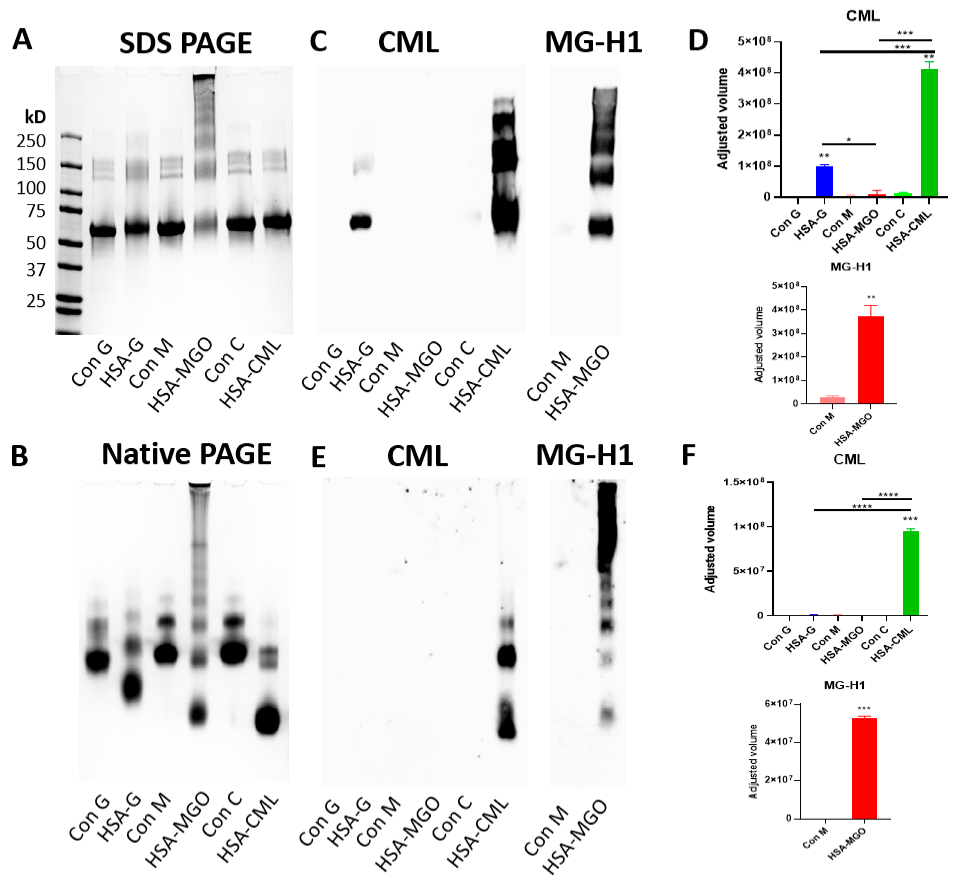 Biomolecules 14 01492 g002