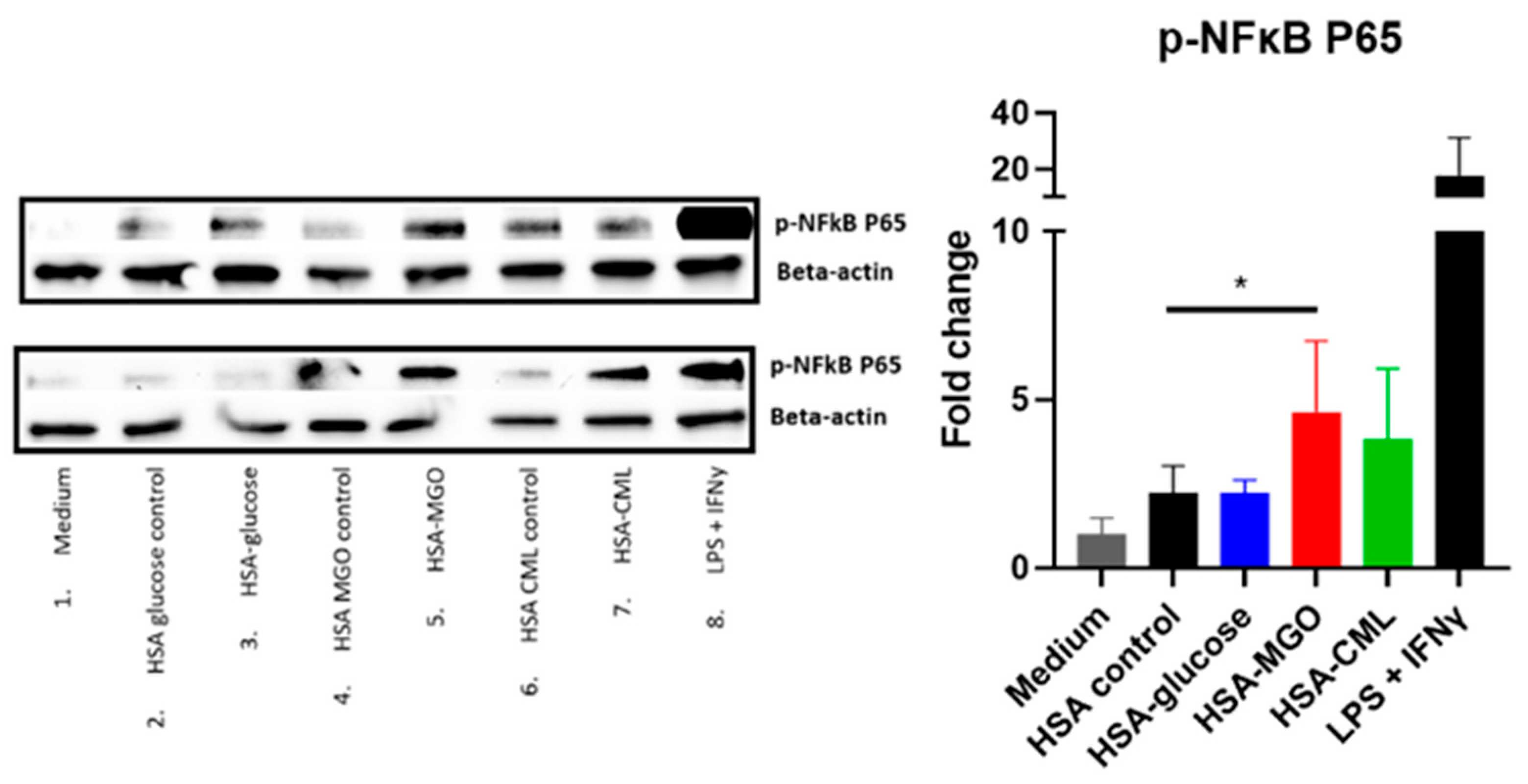 Biomolecules 14 01492 g004