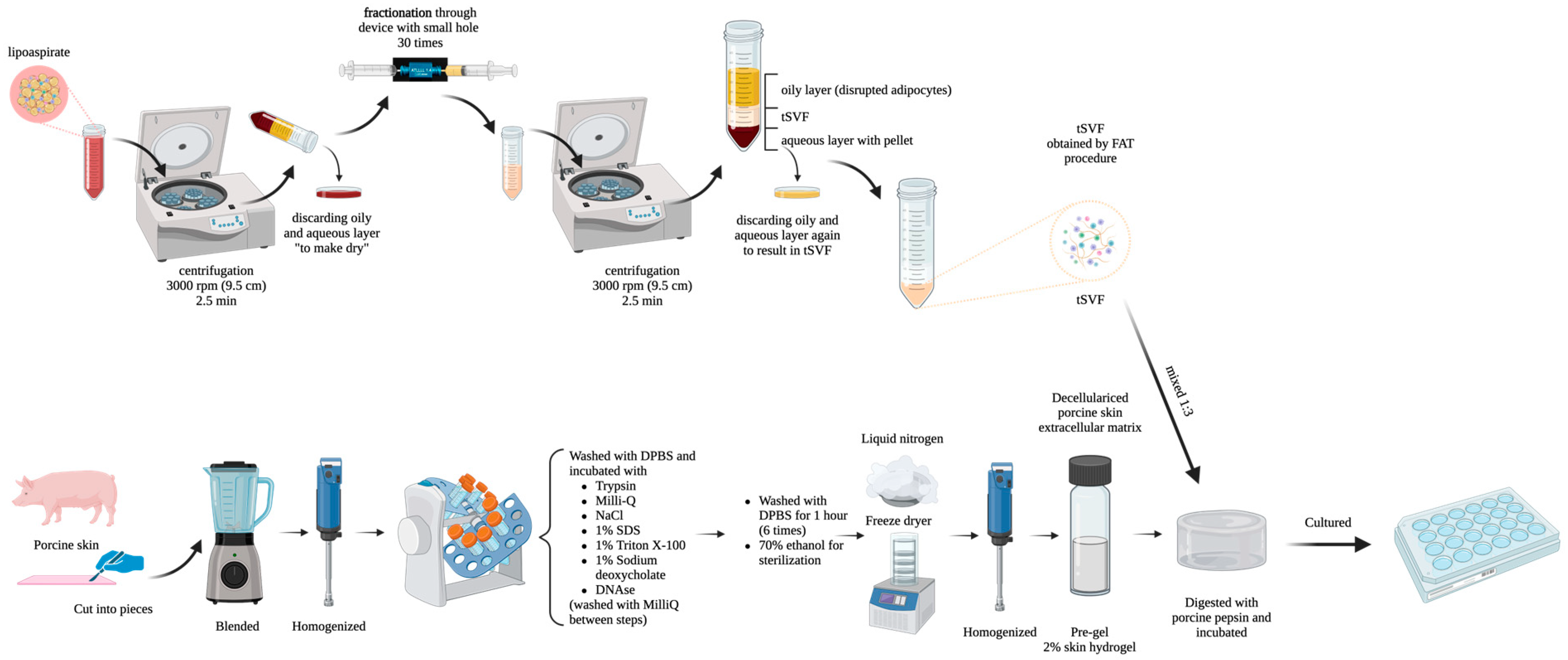 Biomolecules 14 01493 g001