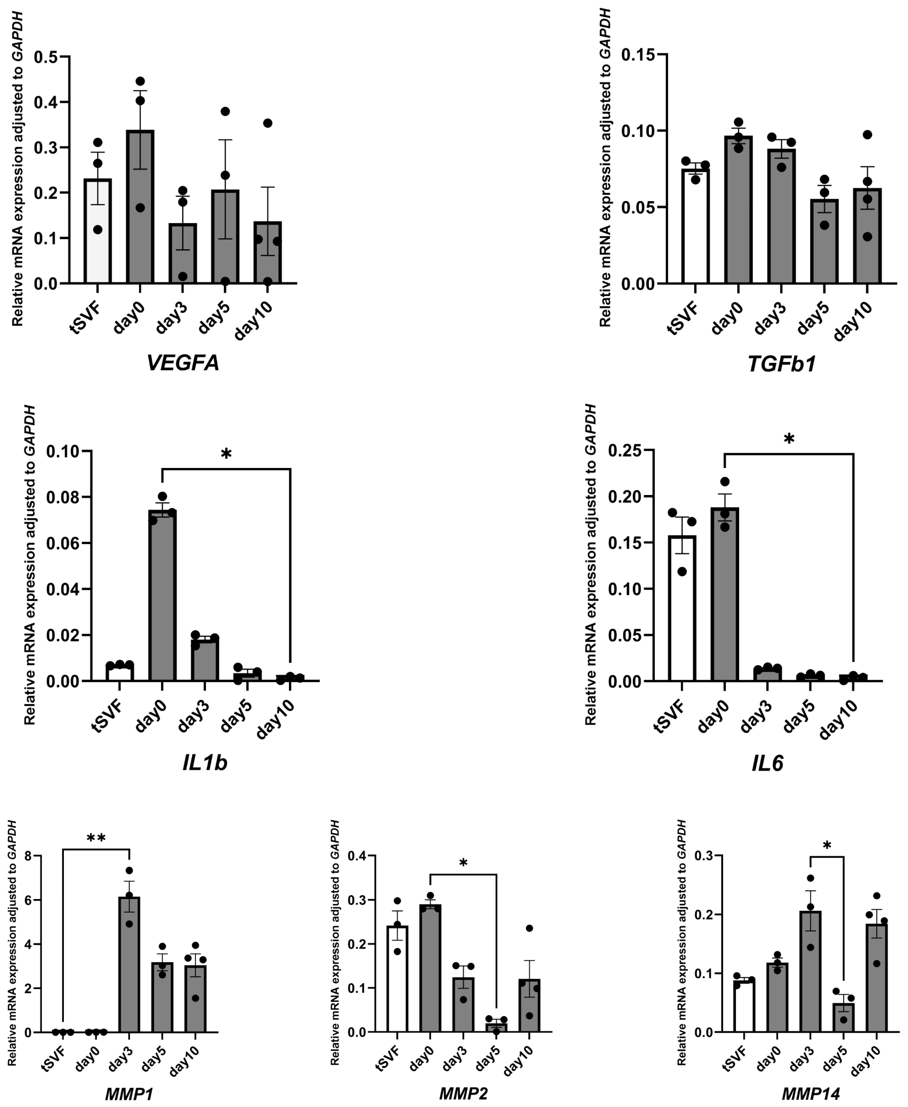 Biomolecules 14 01493 g003
