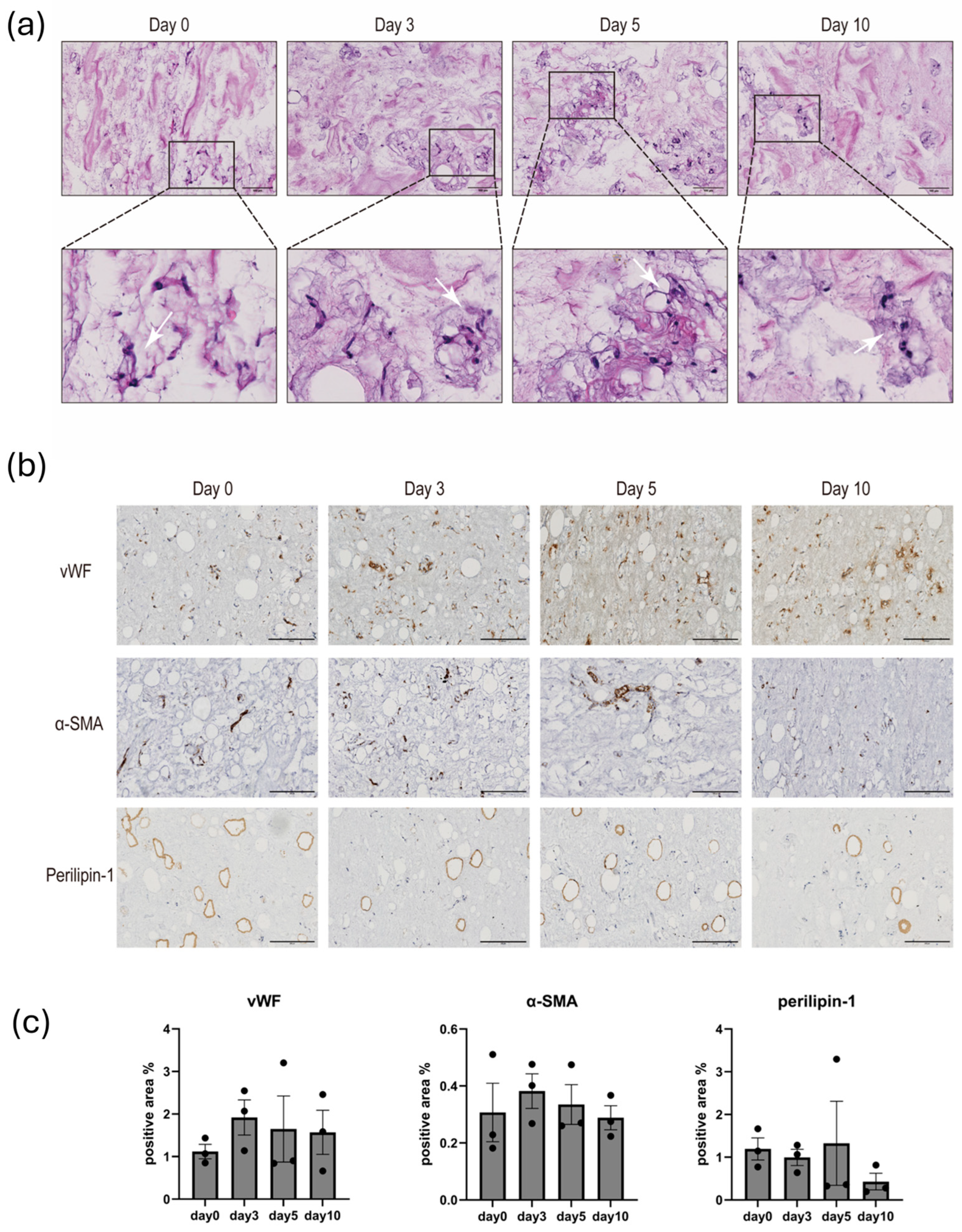 Biomolecules 14 01493 g004