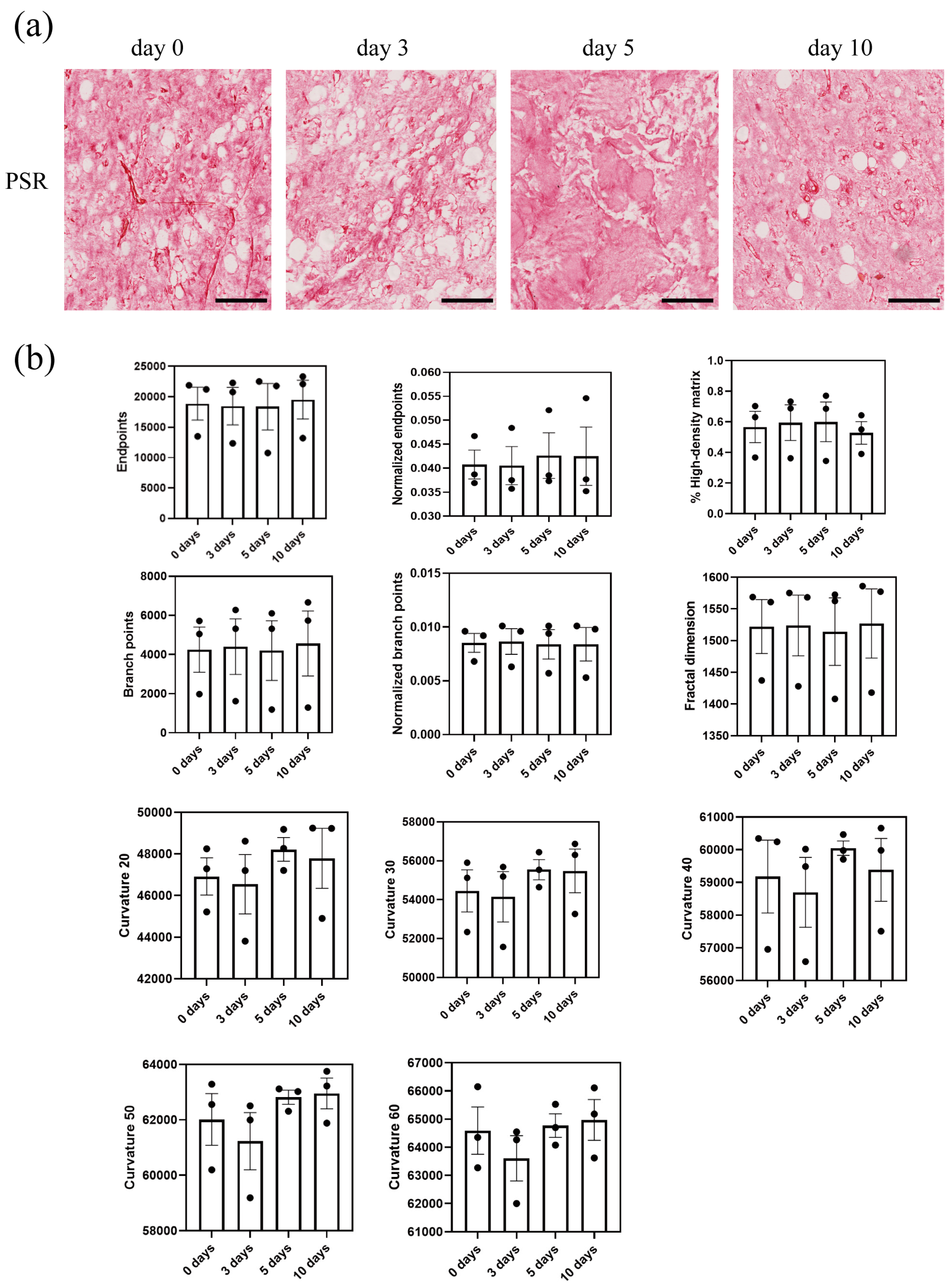 Biomolecules 14 01493 g005