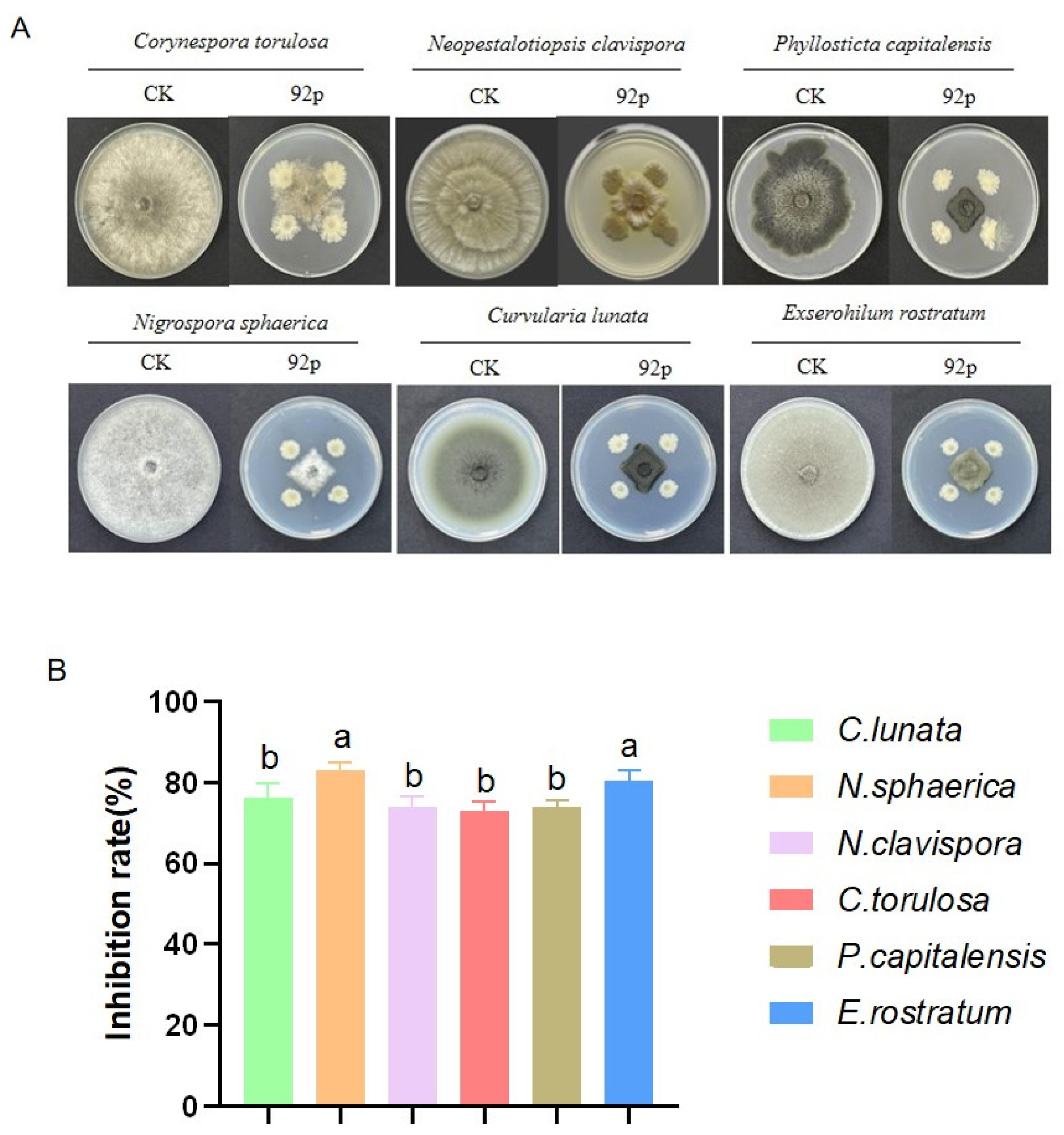 Biomolecules 14 01495 g002