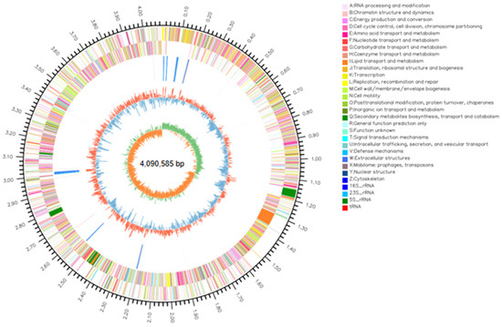 Insight into Antifungal Metabolites from Bacillus stercoris Insight into Antifungal Metabolites from Bacillus stercoris