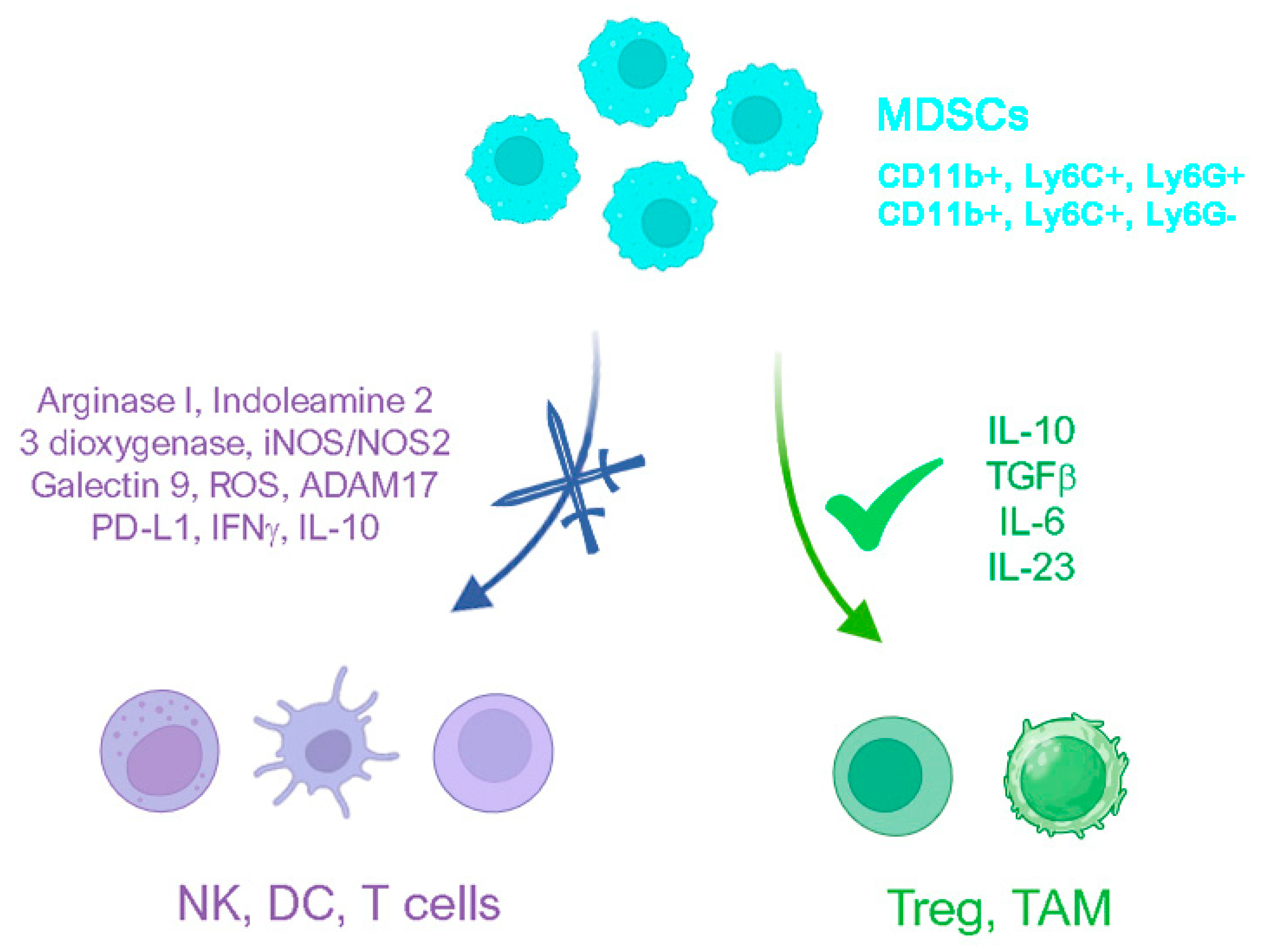 Biomolecules 14 01496 g002 Biomolecules 14 01496 g002