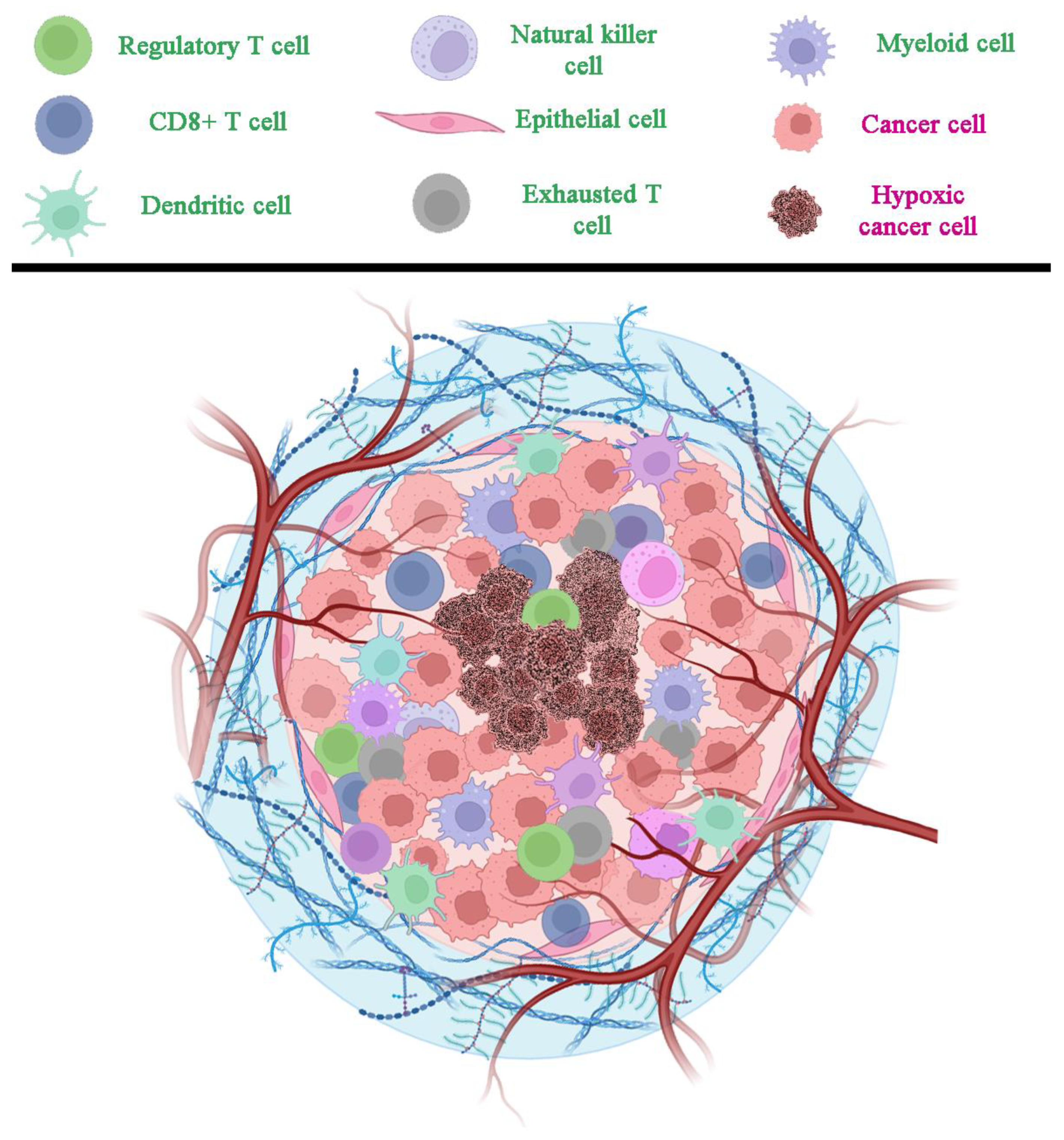 Biomolecules 14 01496 g003 Biomolecules 14 01496 g003