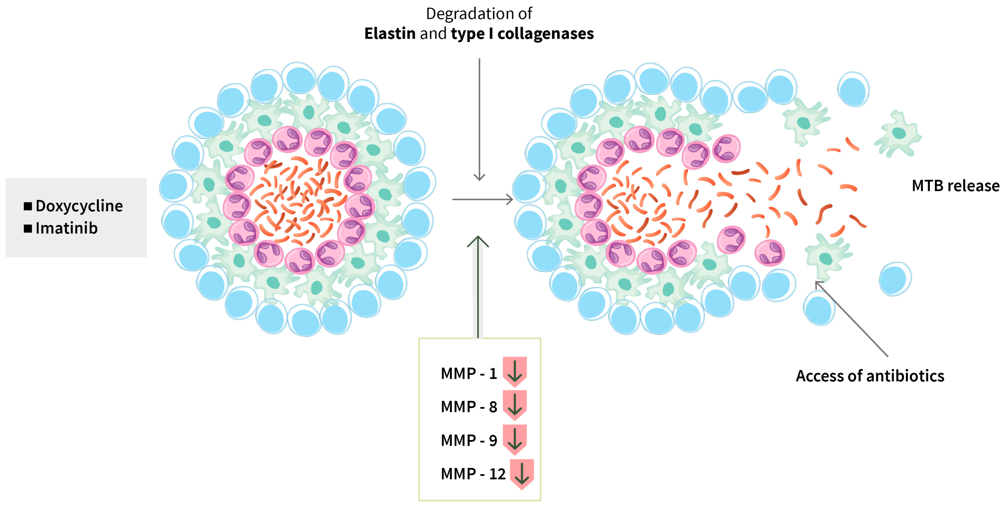 Biomolecules 14 01497 g002