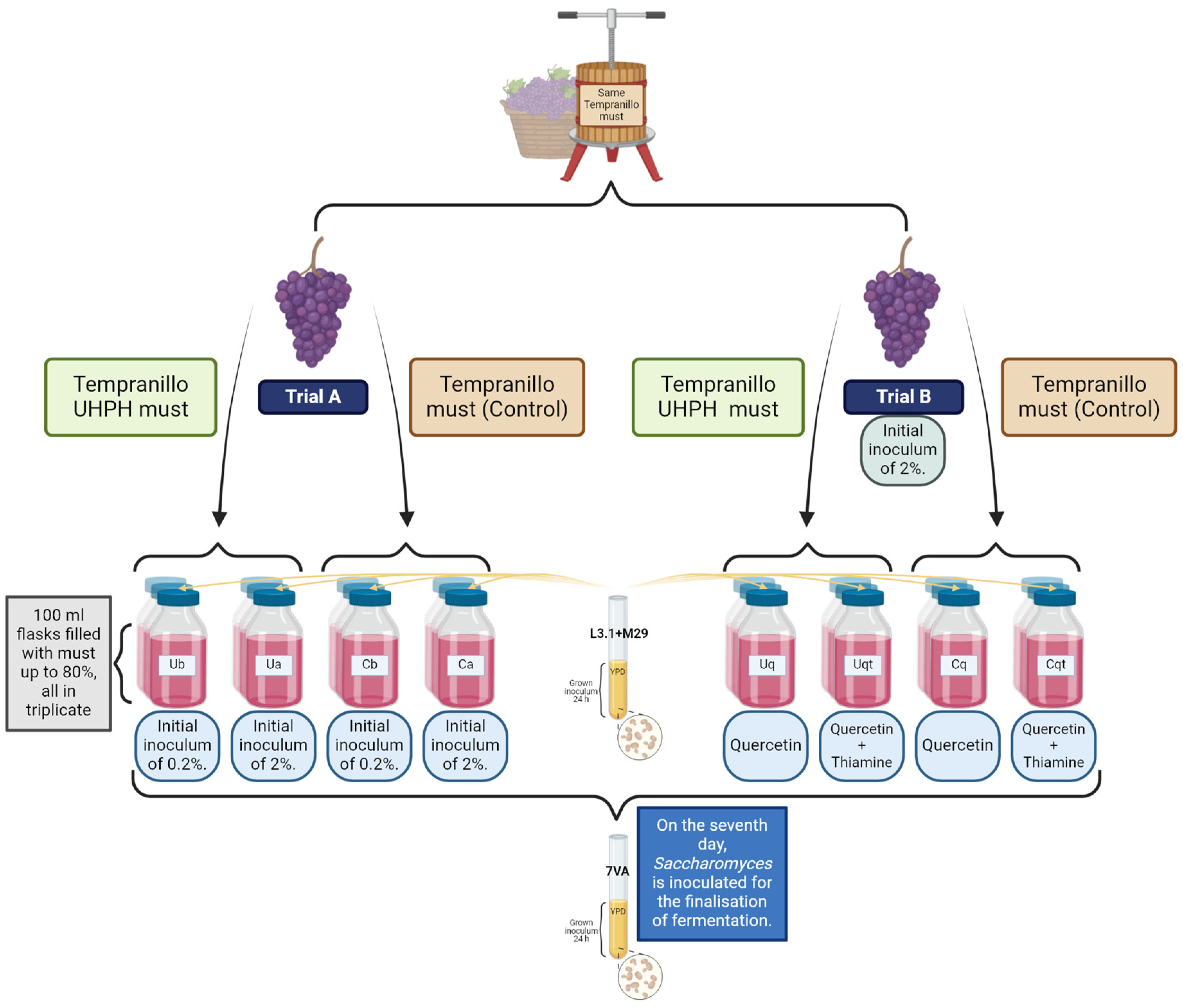 Biomolecules 14 01498 g001