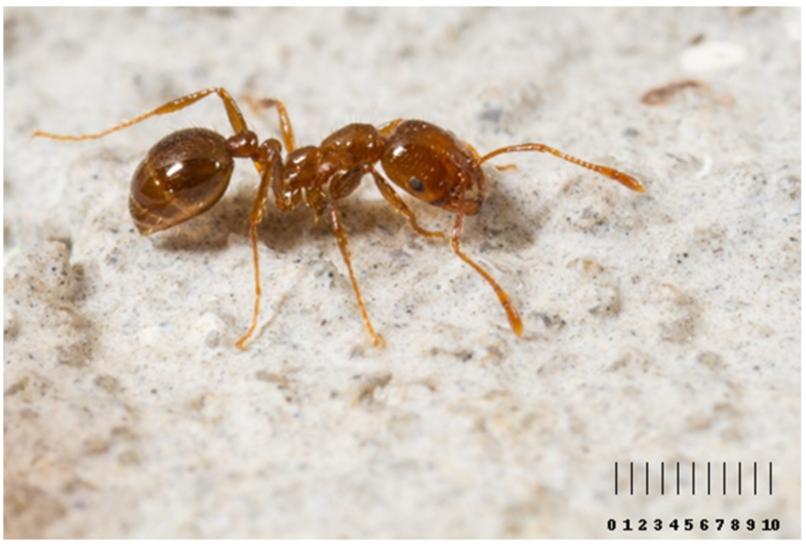 Biomolecules 14 01499 g001