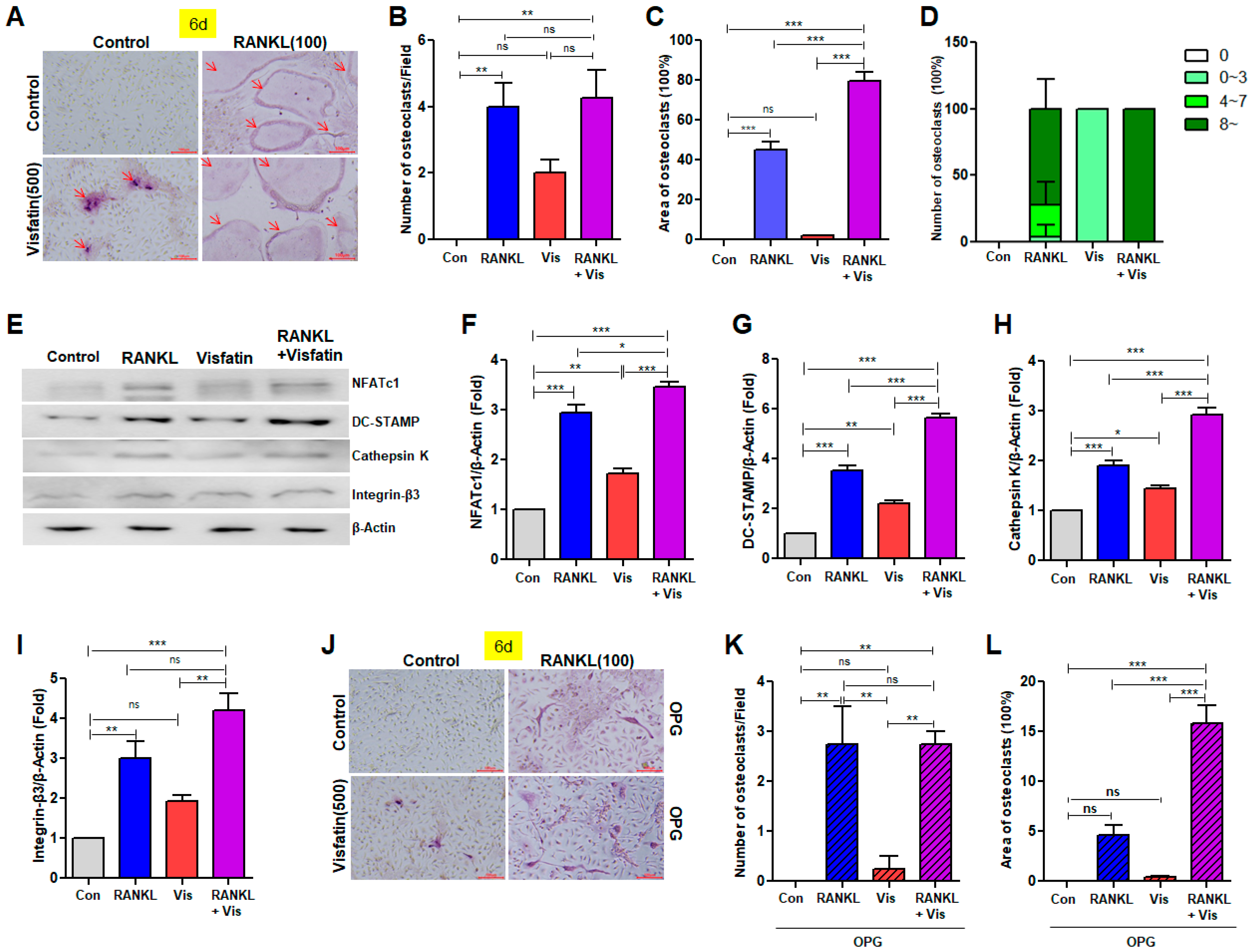Biomolecules 14 01500 g003 Biomolecules 14 01500 g003