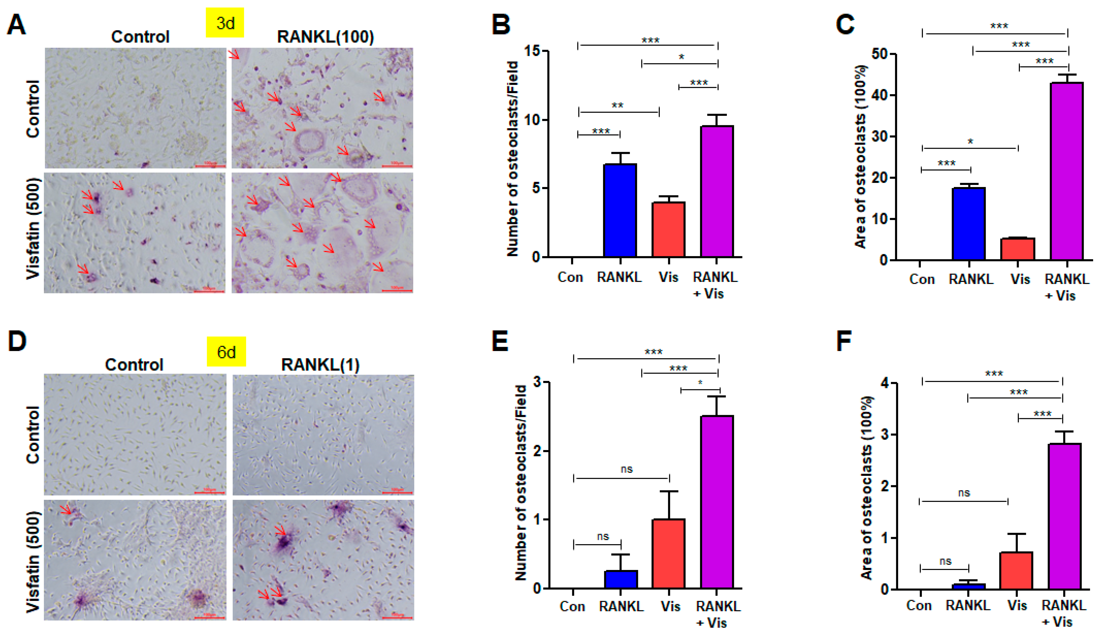 Biomolecules 14 01500 g004 Biomolecules 14 01500 g004