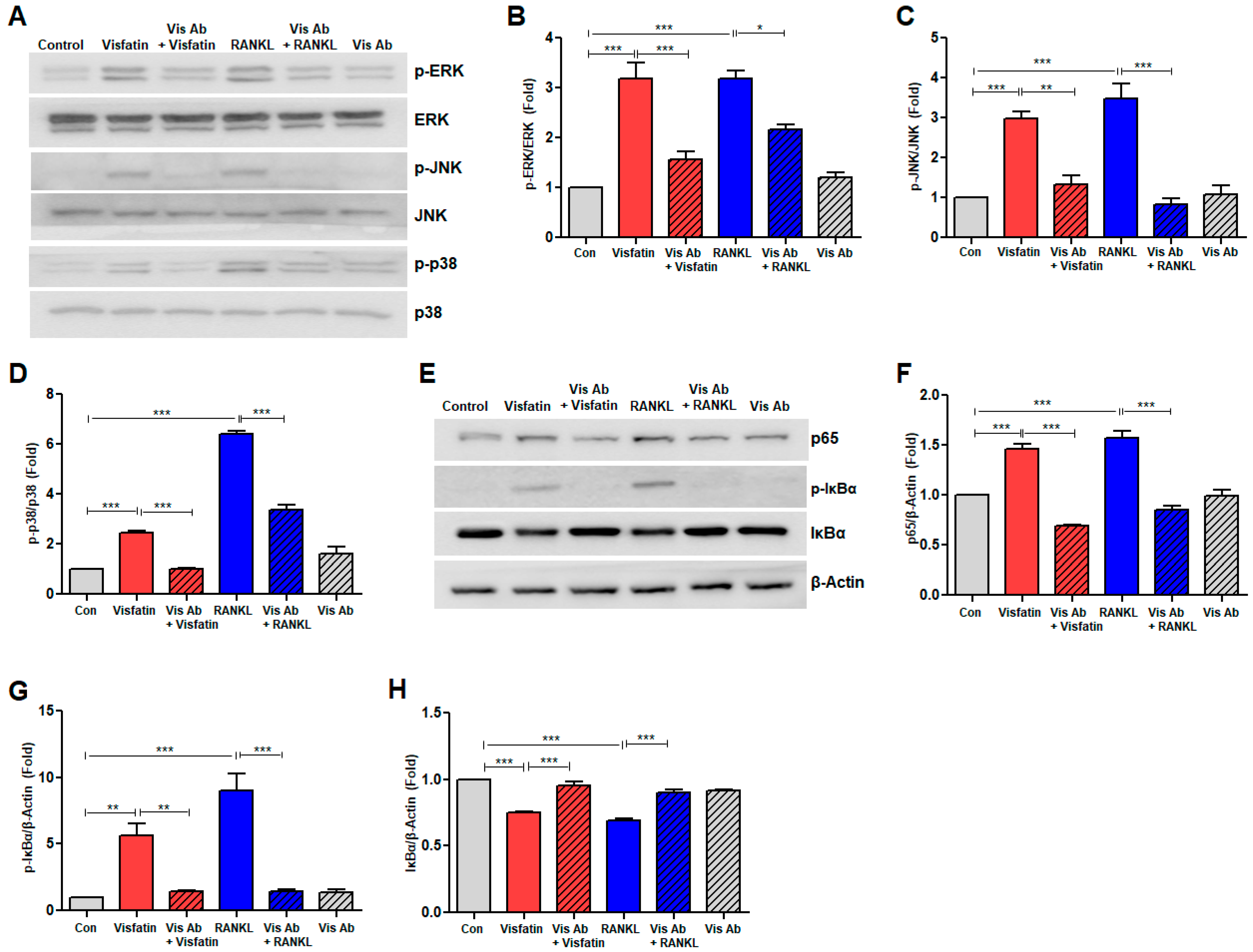 Biomolecules 14 01500 g006 Biomolecules 14 01500 g006