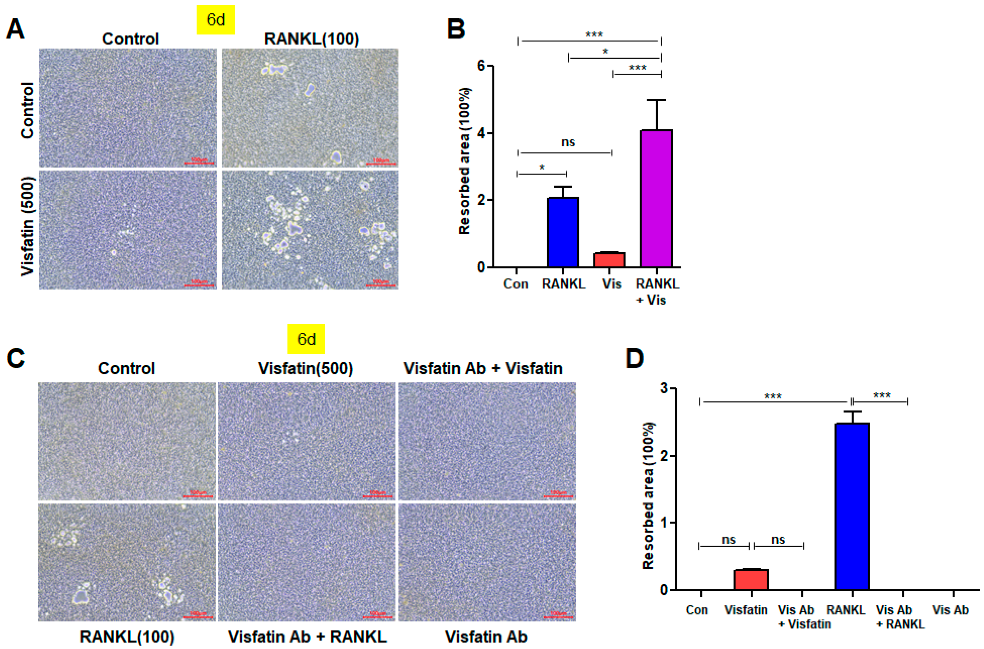 Biomolecules 14 01500 g007 Biomolecules 14 01500 g007