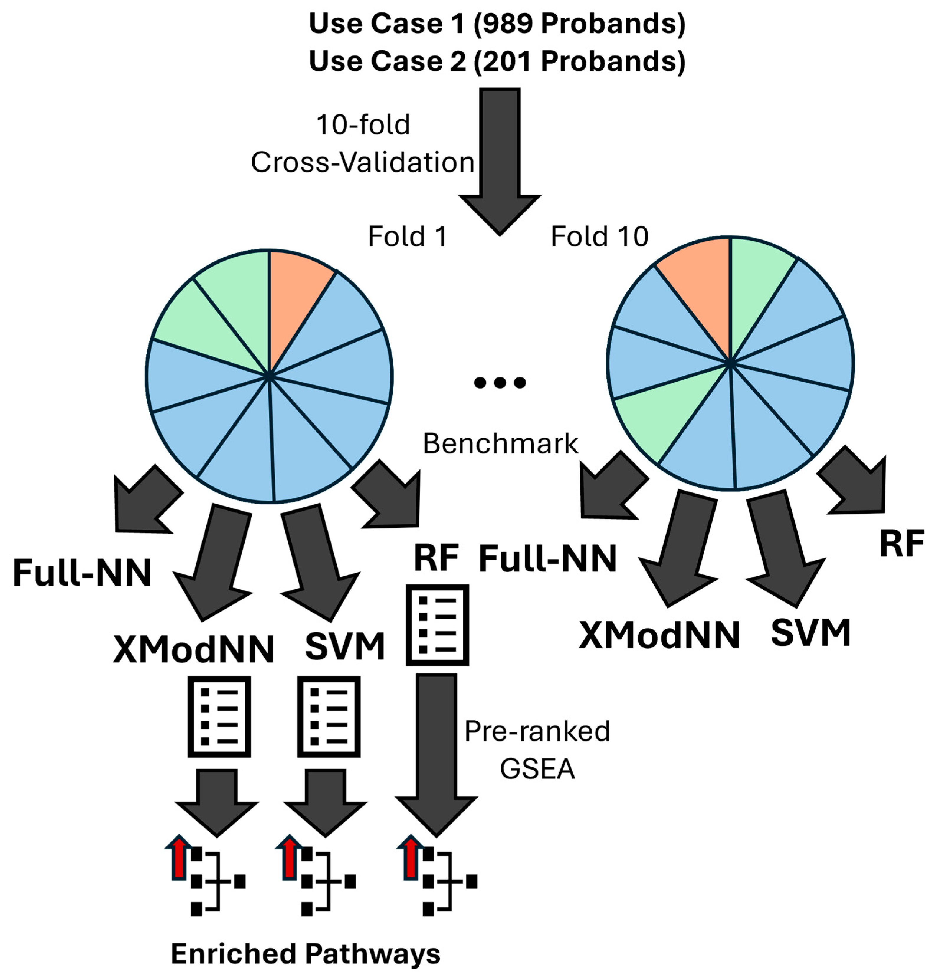 Biomolecules 14 01501 g001