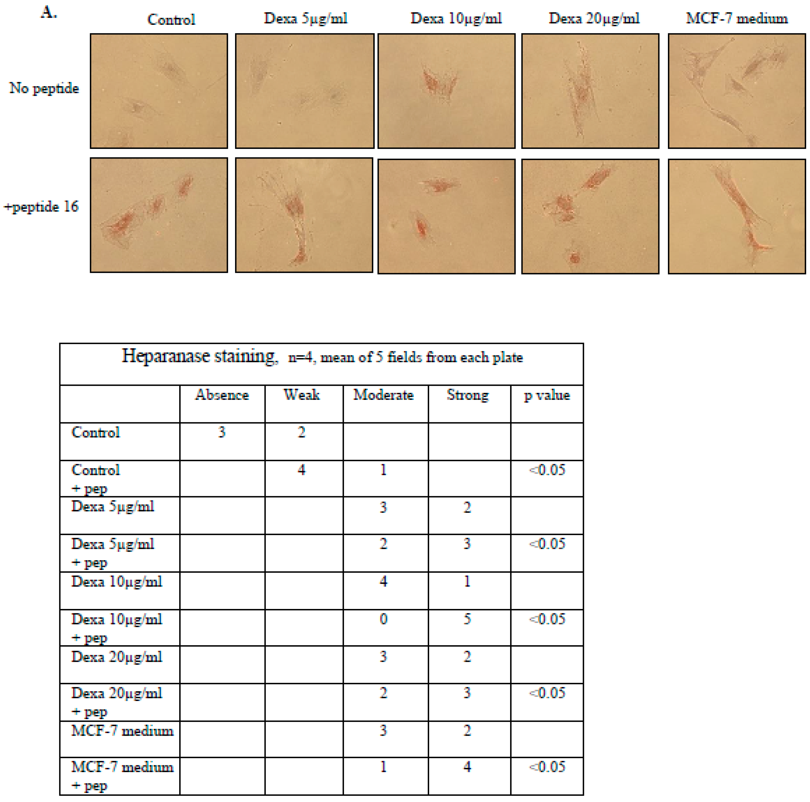 Biomolecules 14 01506 g002a Biomolecules 14 01506 g002a