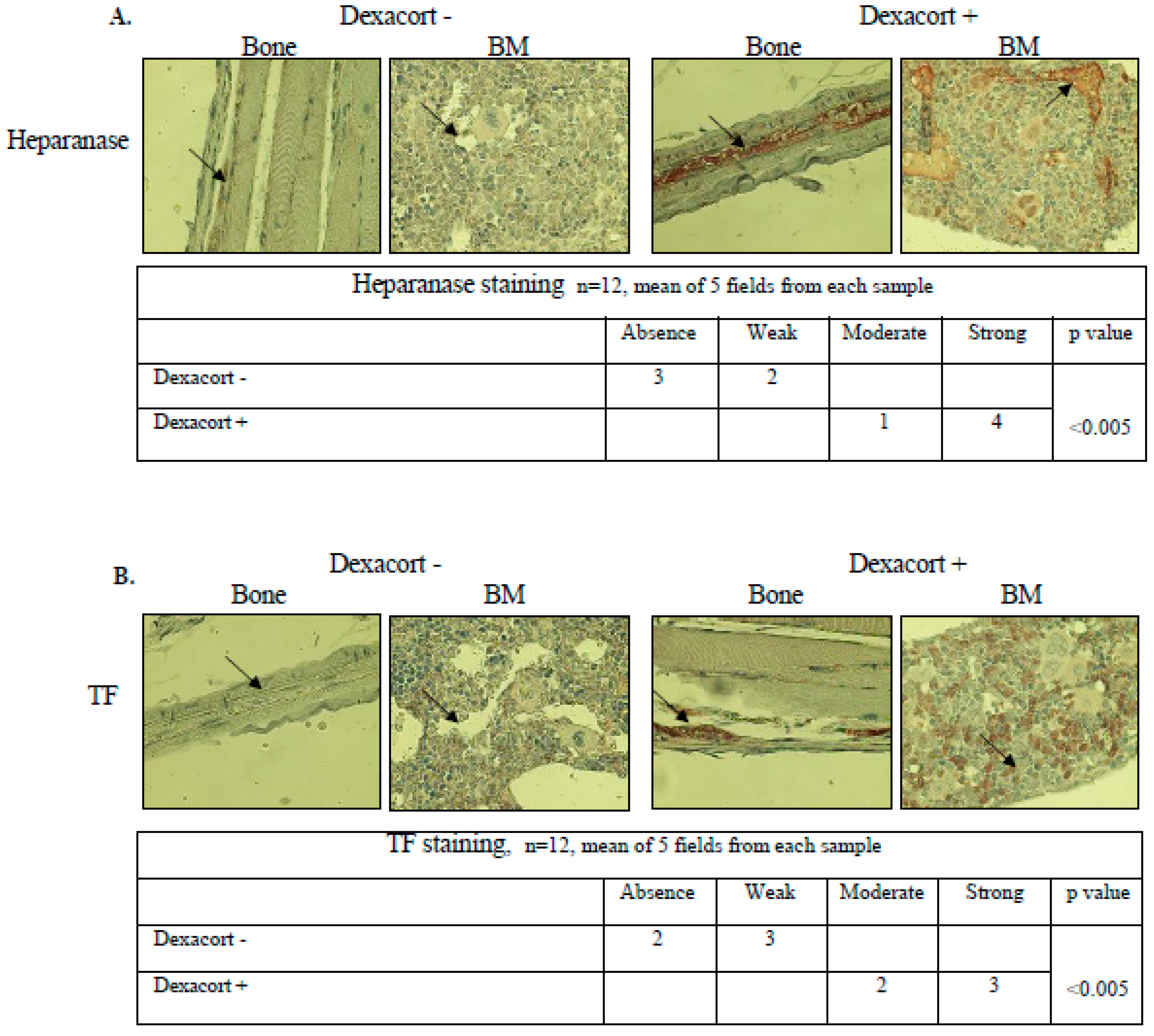 Biomolecules 14 01506 g005a Biomolecules 14 01506 g005a