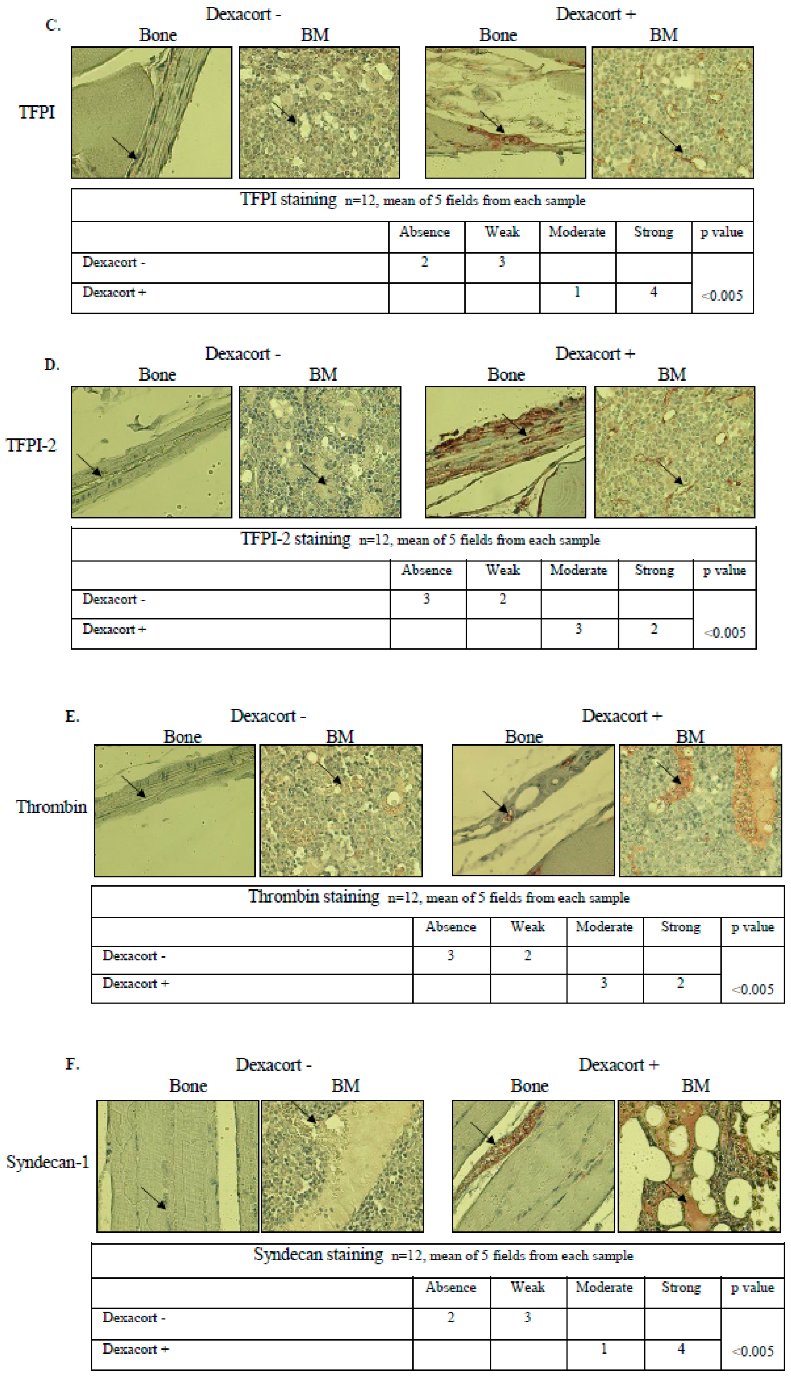 Biomolecules 14 01506 g005b Biomolecules 14 01506 g005b