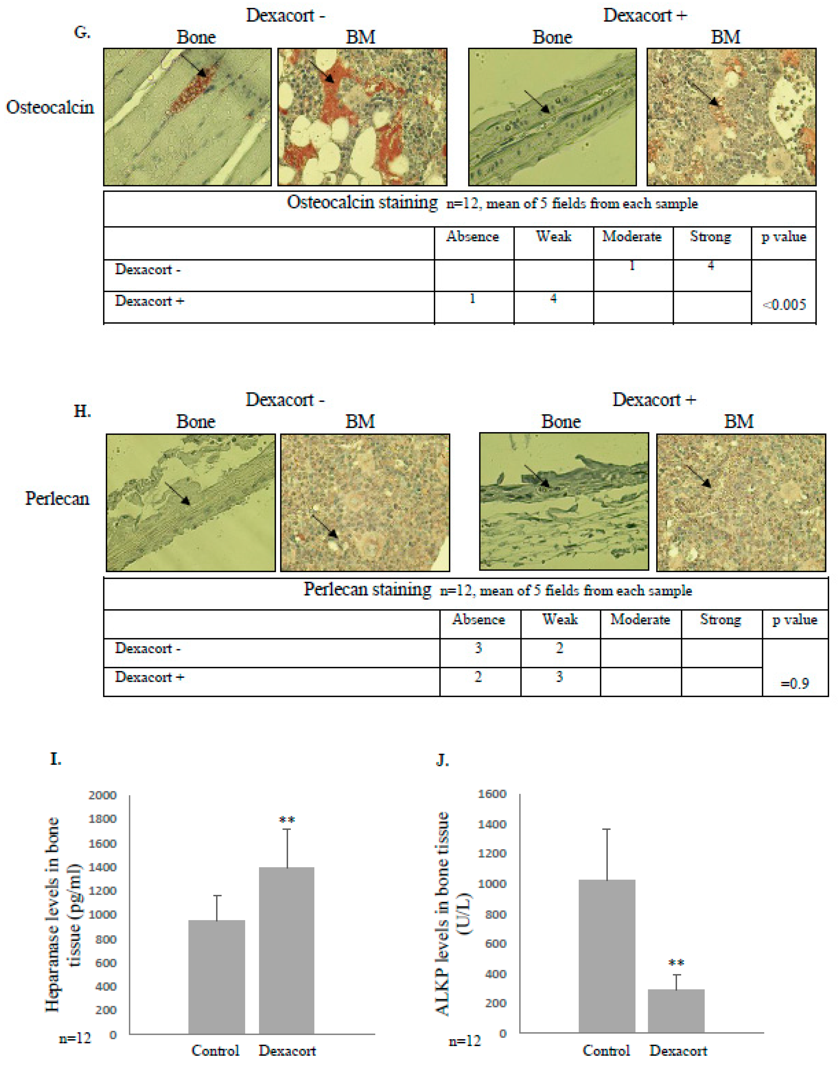 Biomolecules 14 01506 g005c Biomolecules 14 01506 g005c