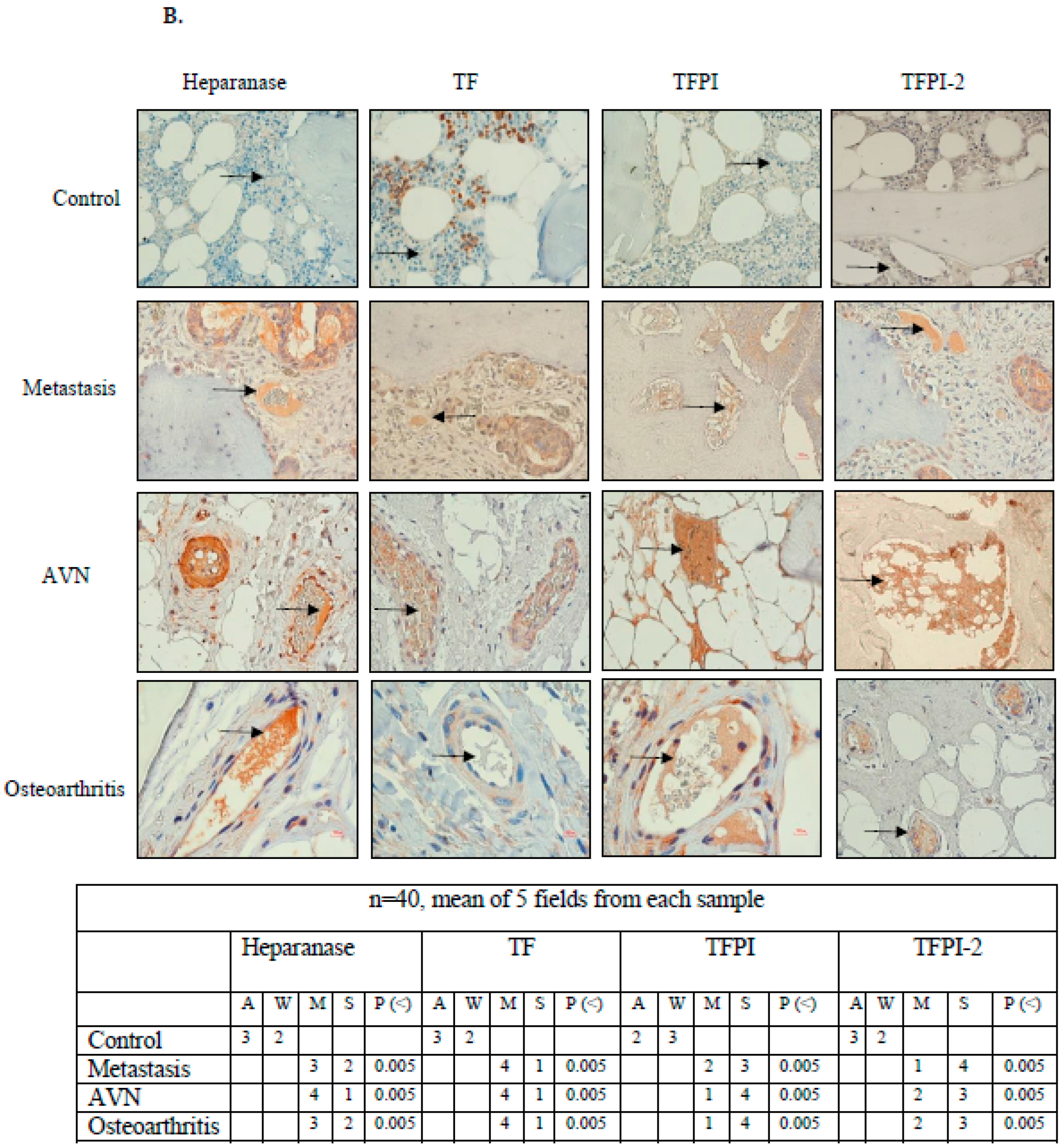 Biomolecules 14 01506 g006b Biomolecules 14 01506 g006b