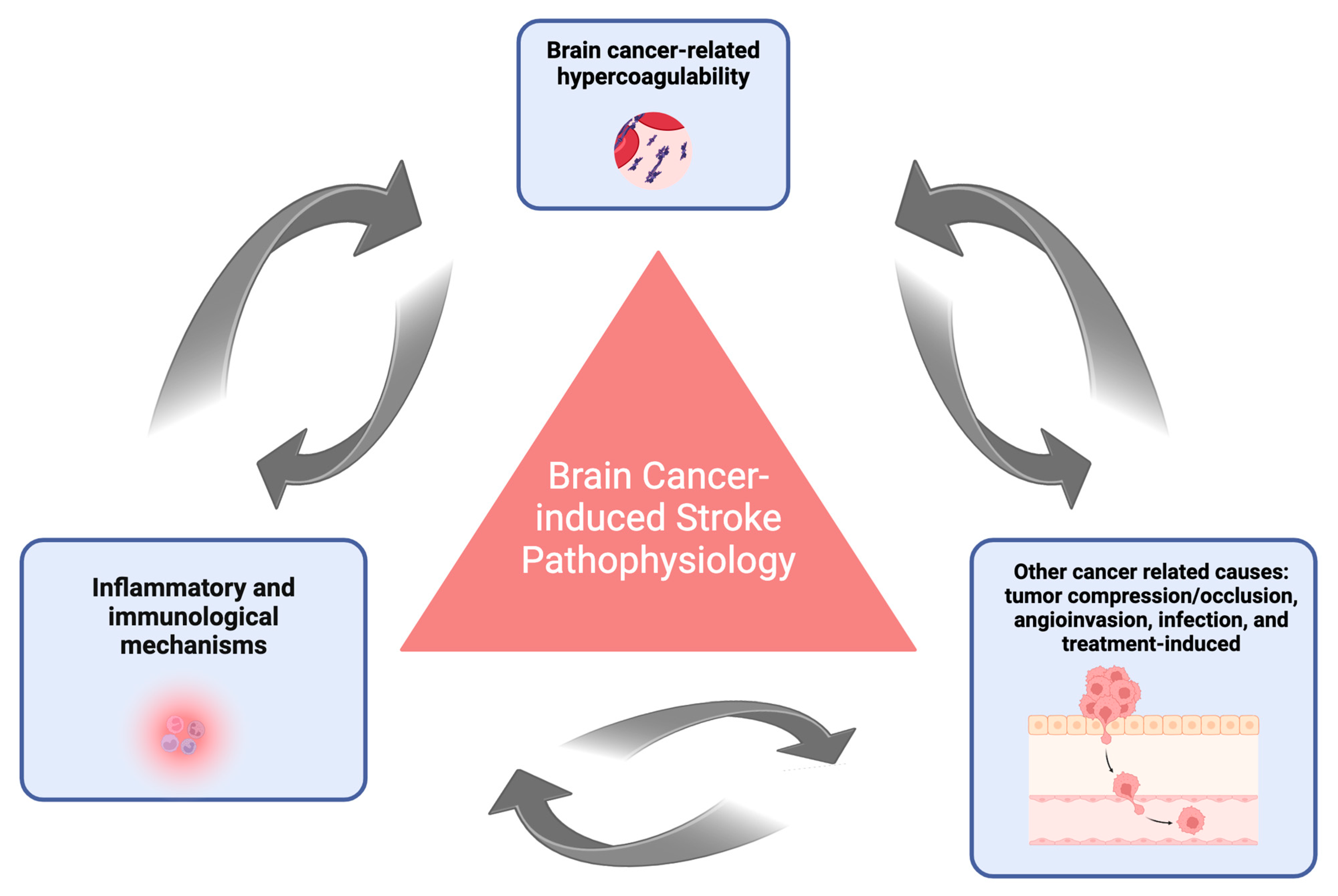Biomolecules 14 01507 g001