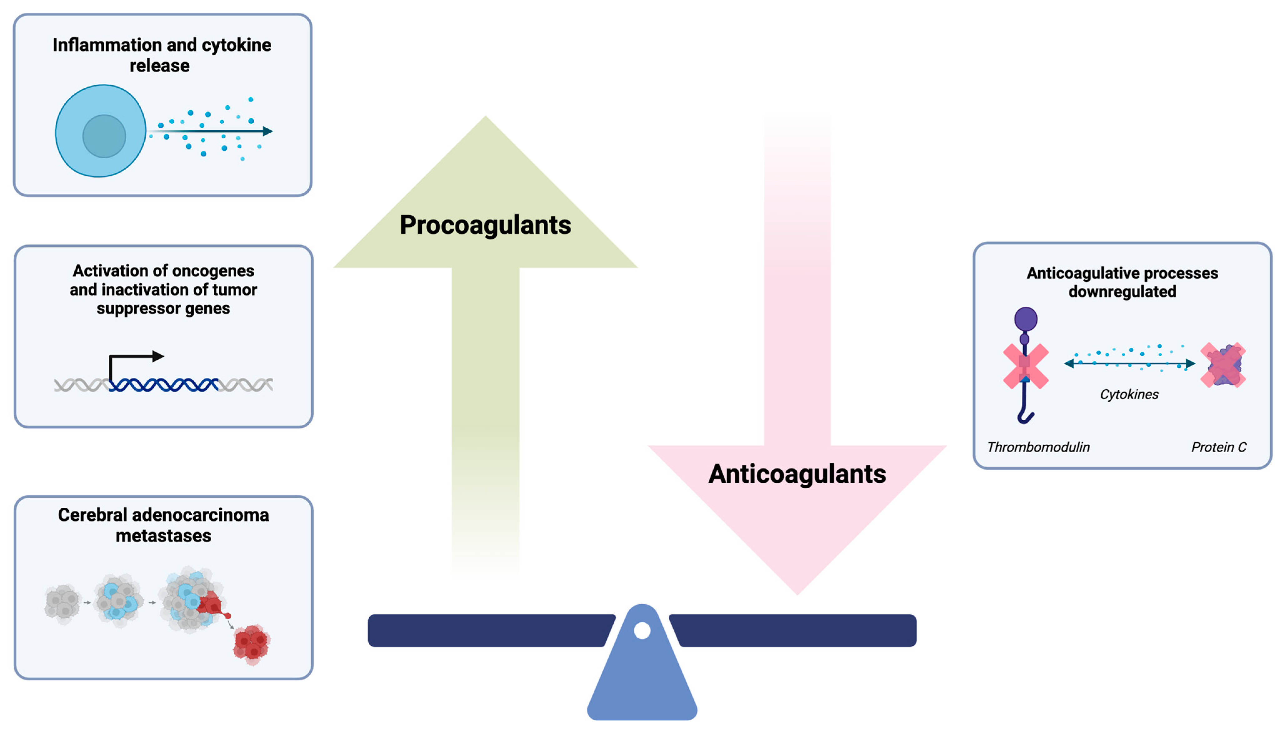 Biomolecules 14 01507 g002