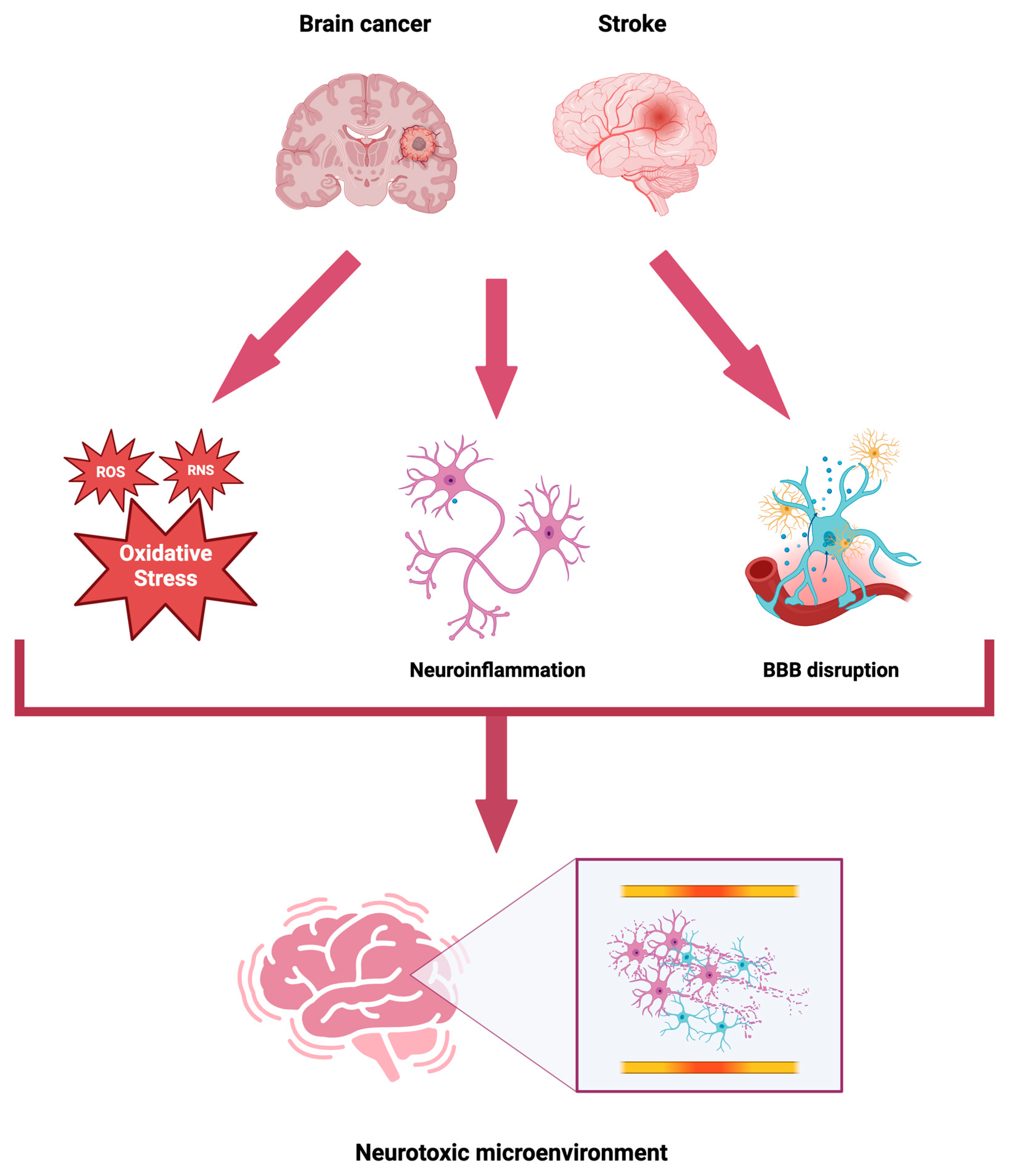 Biomolecules 14 01507 g003
