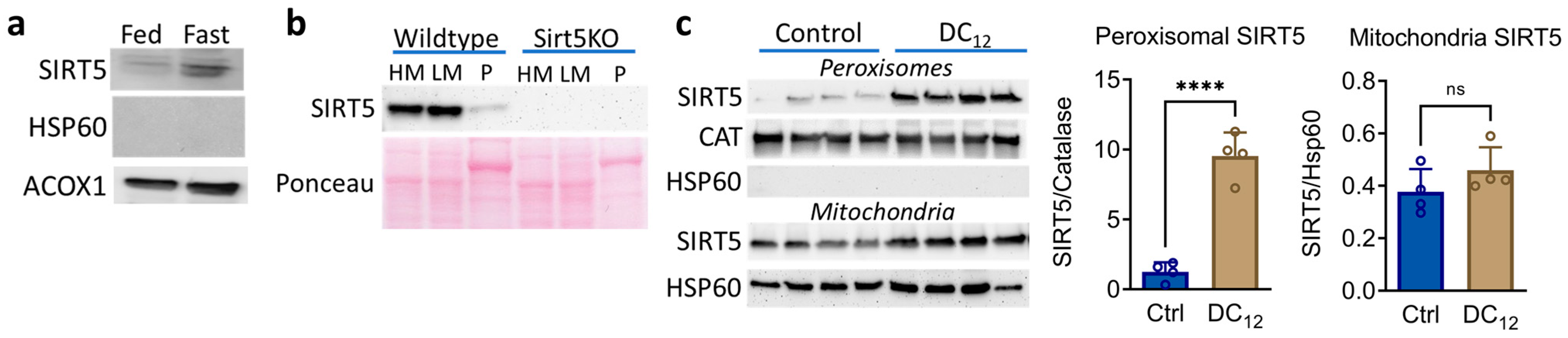 Biomolecules 14 01508 g001