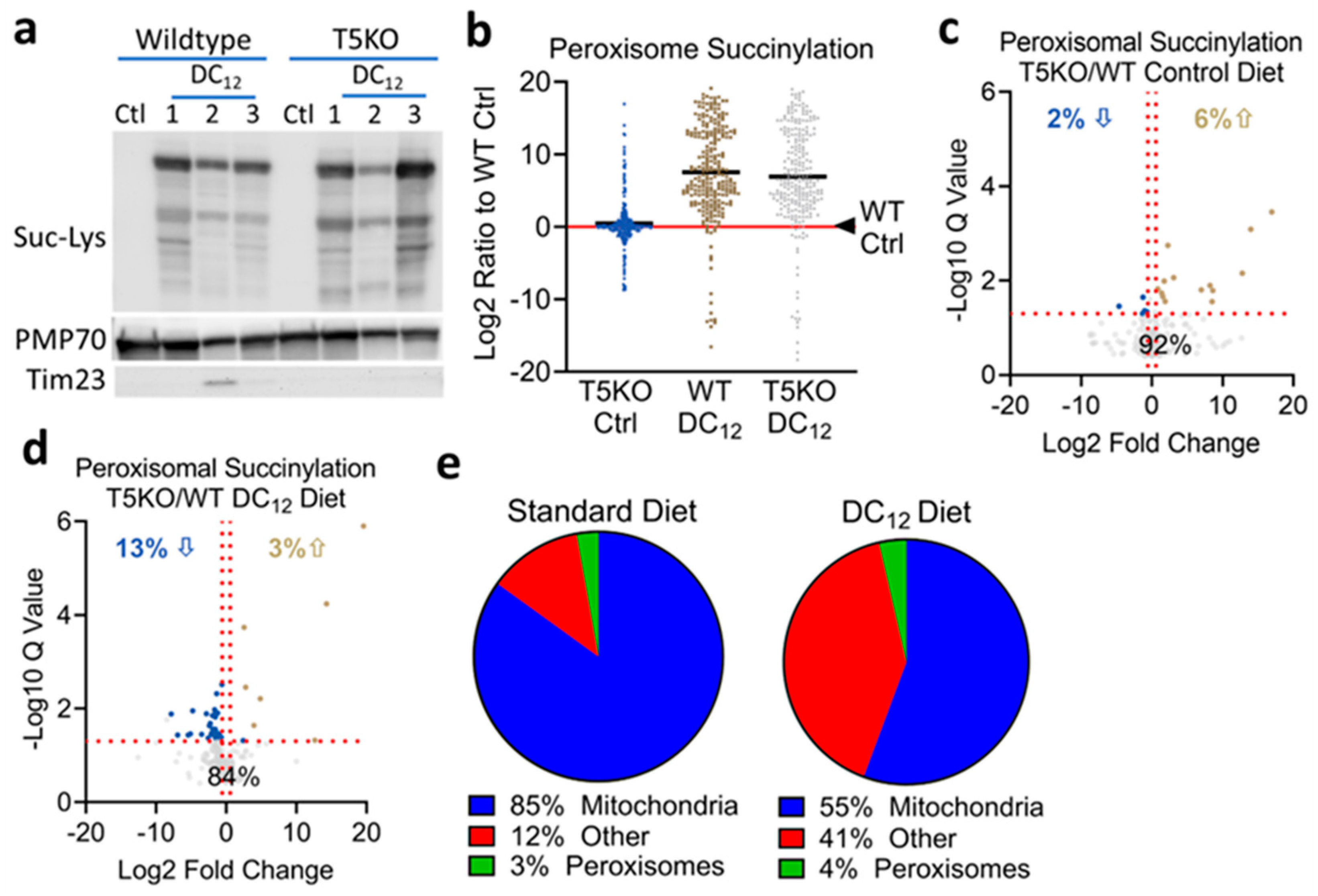 Biomolecules 14 01508 g003