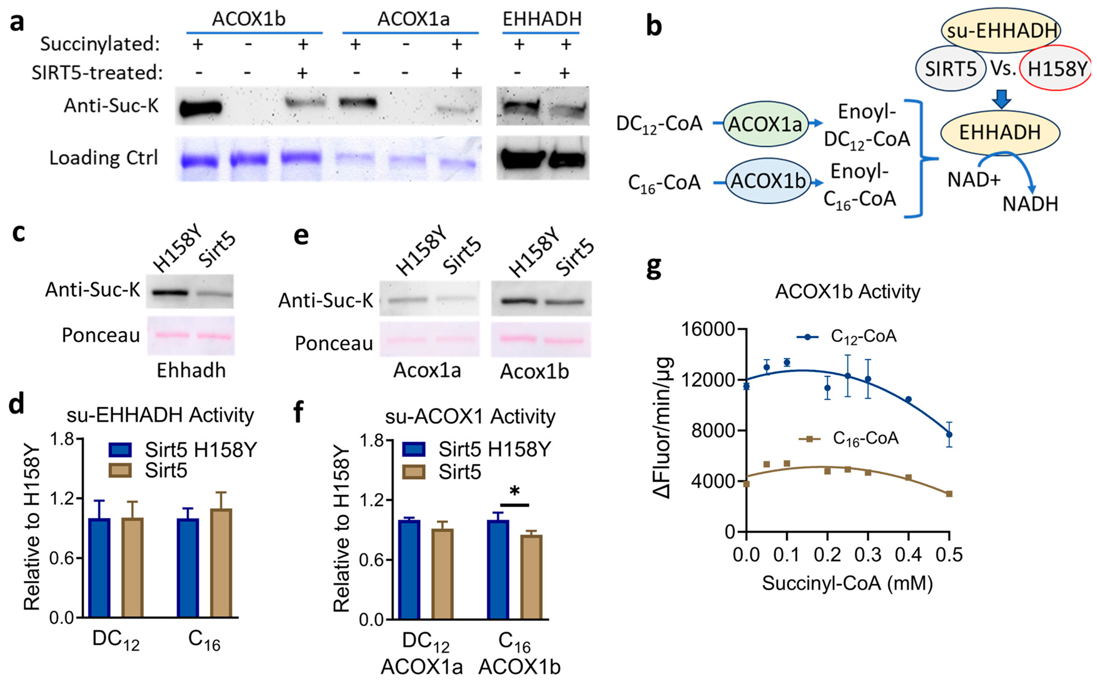 Biomolecules 14 01508 g004