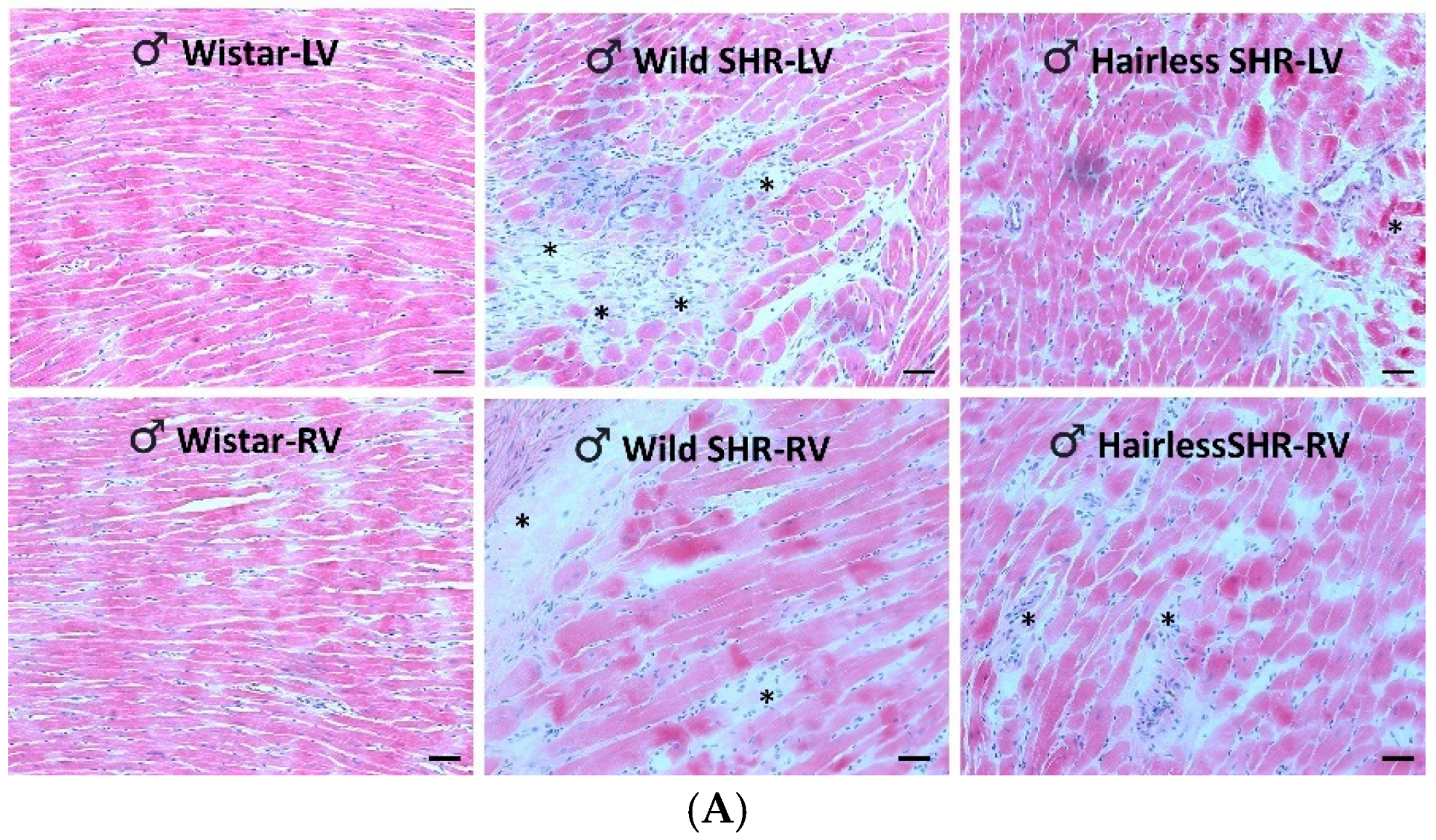 Biomolecules 14 01509 g002a