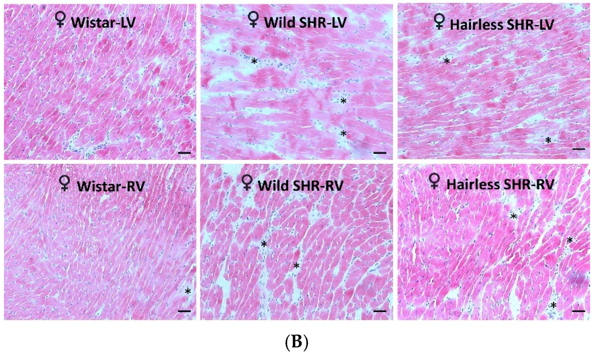 Biomolecules 14 01509 g002b