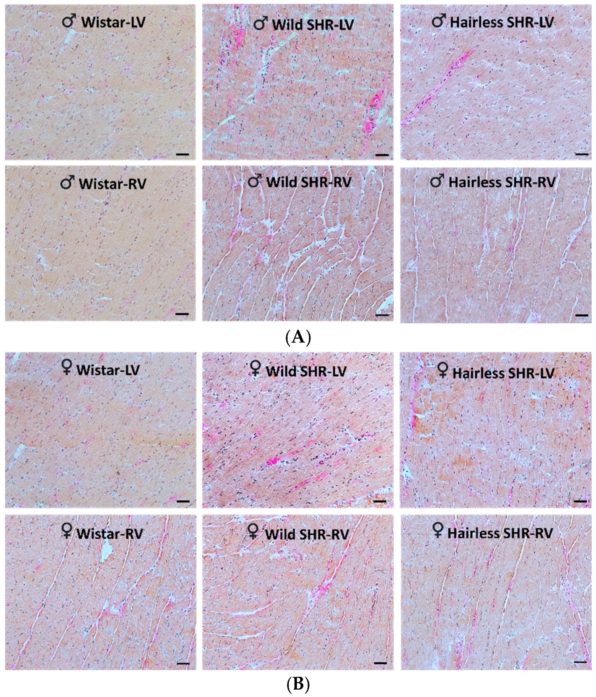 Biomolecules 14 01509 g003