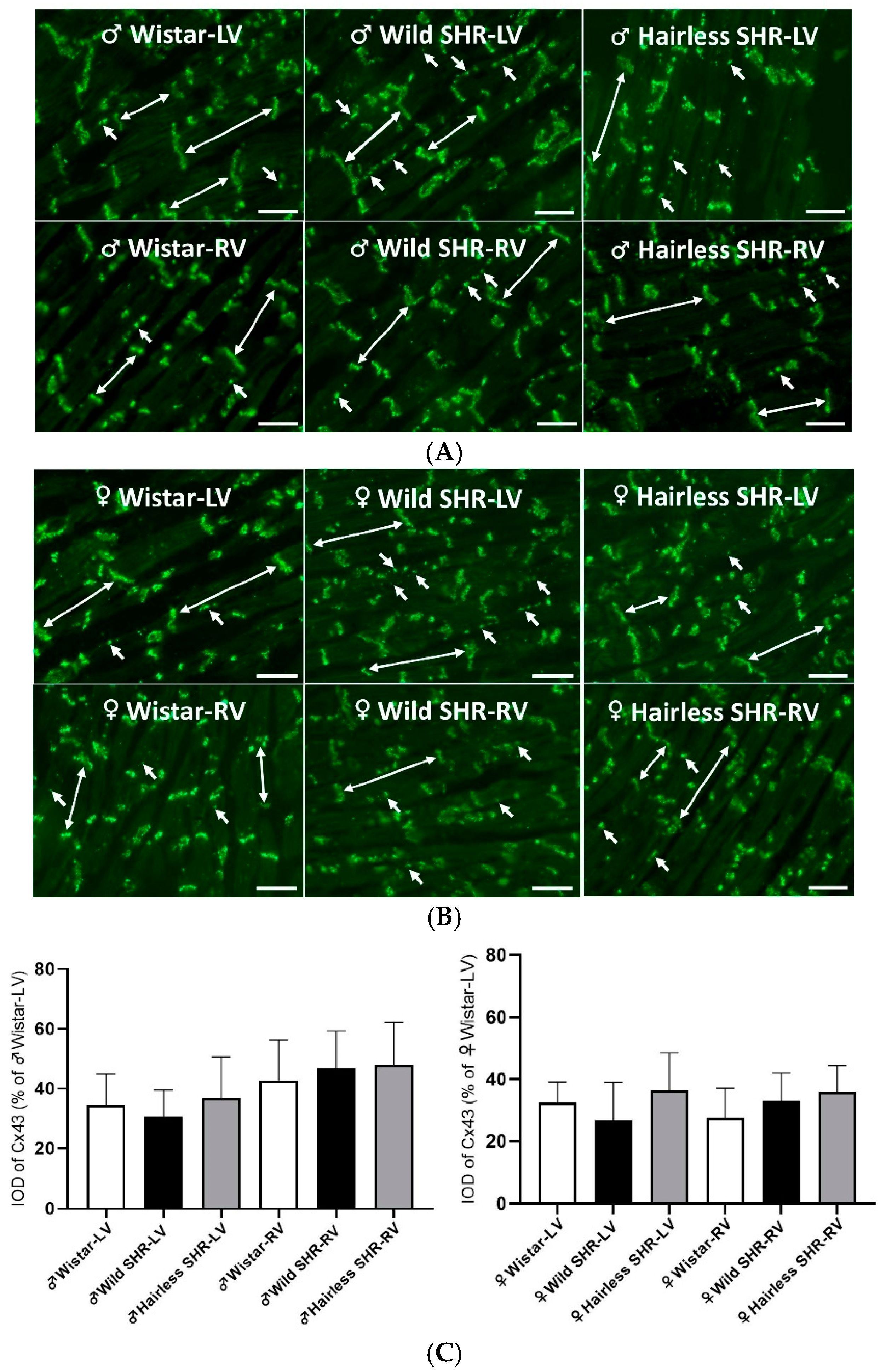 Biomolecules 14 01509 g006a