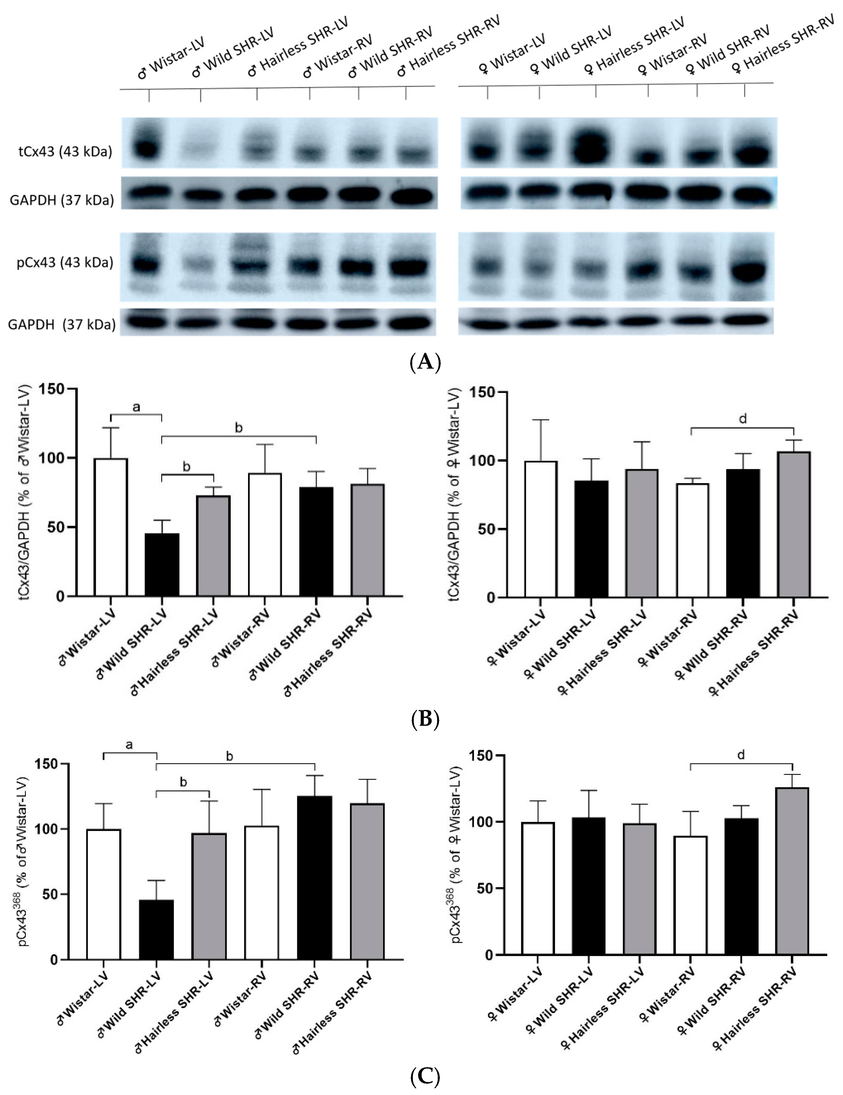 Biomolecules 14 01509 g007