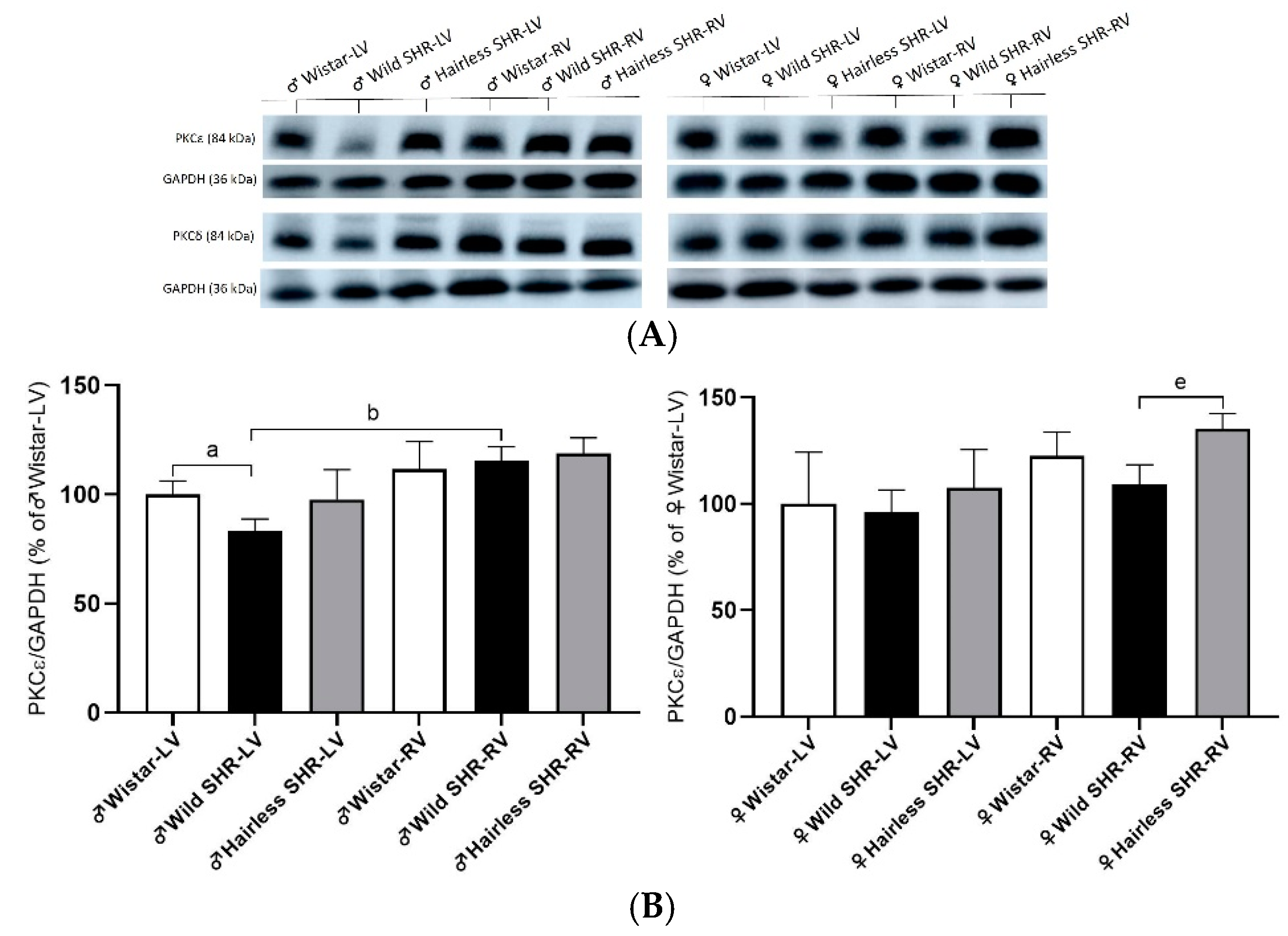 Biomolecules 14 01509 g008a