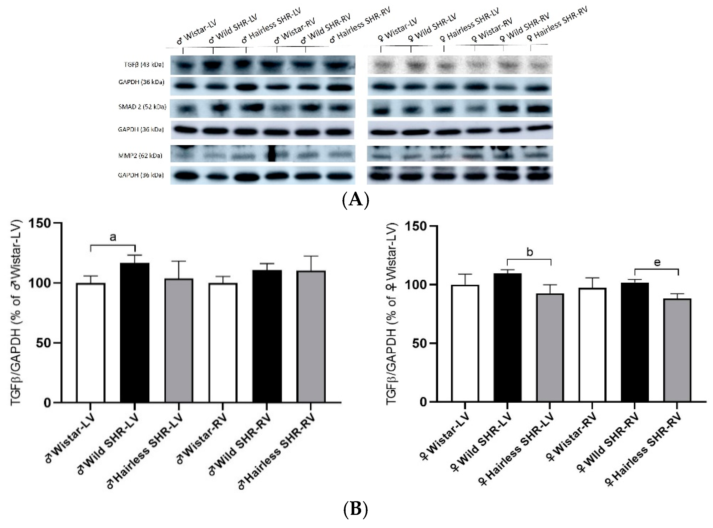 Biomolecules 14 01509 g009a